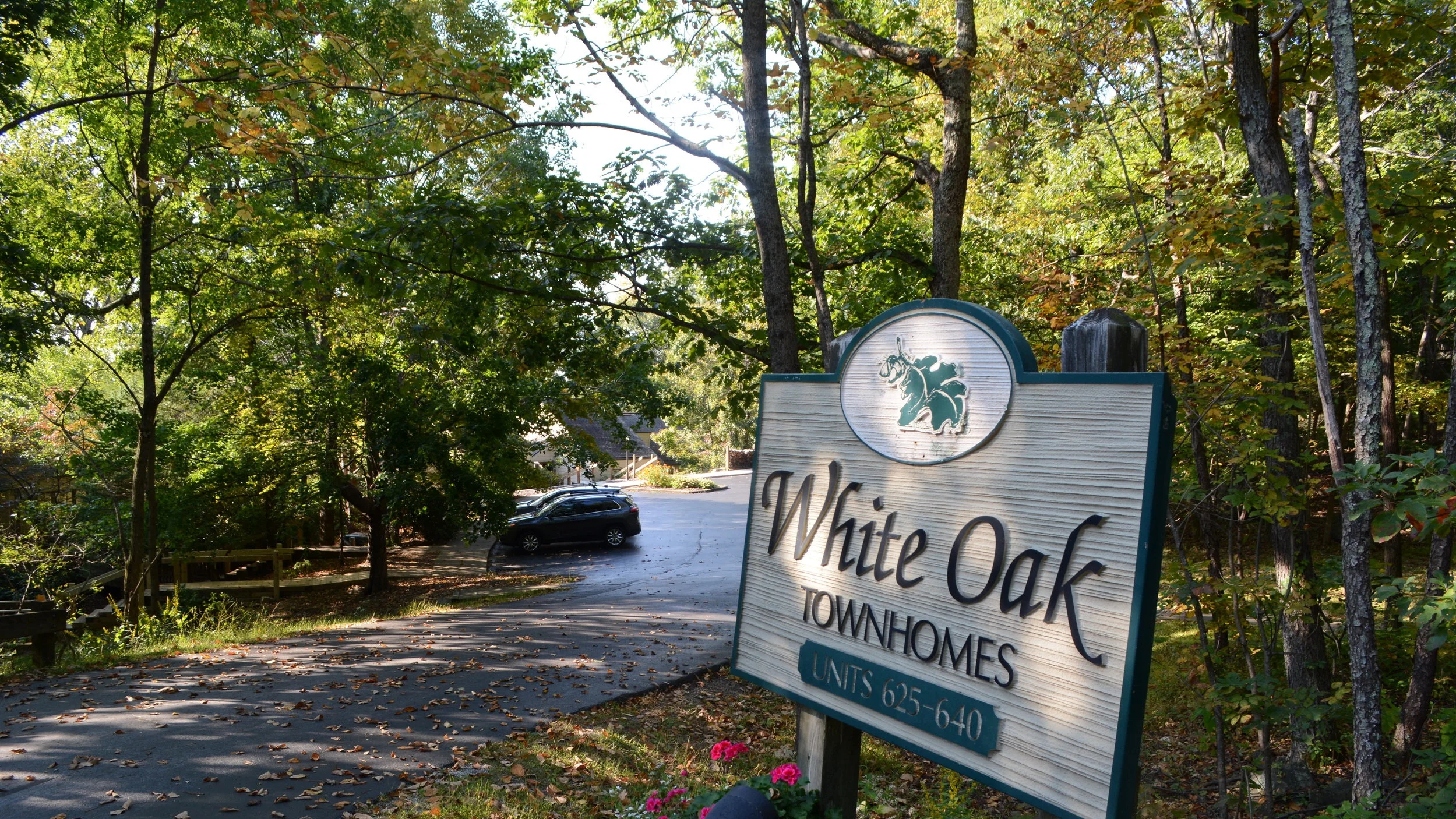 White Oak — Our Wintergreen