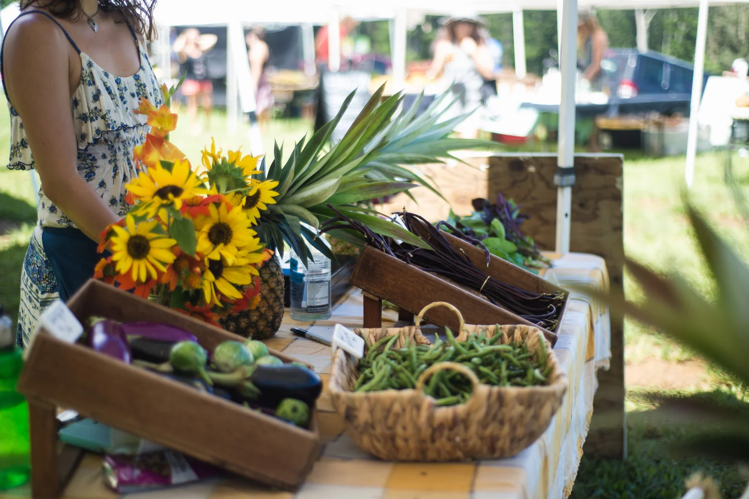 FIND US AT THE SATURDAY FARMERS MARKET