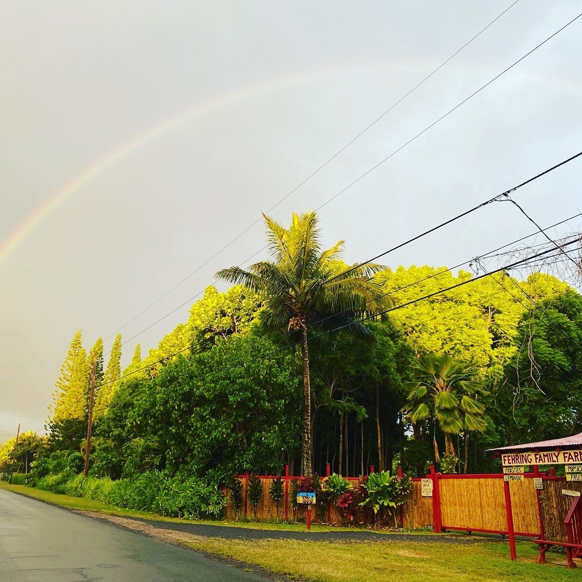 Happy 4th everyone! Celebrating rainbow style on the farm this morning! Photo by @adzowitch #farmrainbow #alohaolafarms #farmstand #kilauea