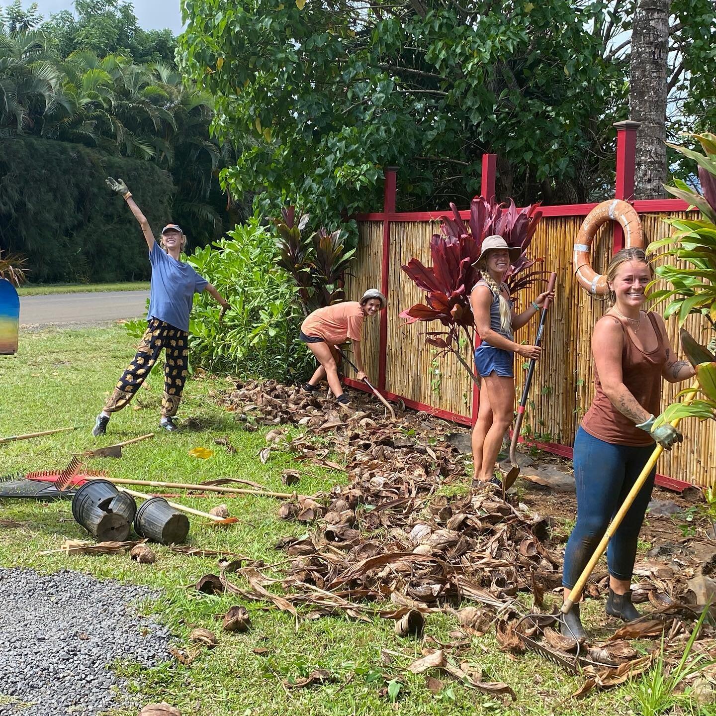 Female Strong! Excited to have our first ever all female wwoofing crew this summer! From landscaping to weeding, planting &amp; mulching, harvesting and processing, these girls have got it down! #femalestrong #alohaolafarms #wwoofing #farmlife #helpi