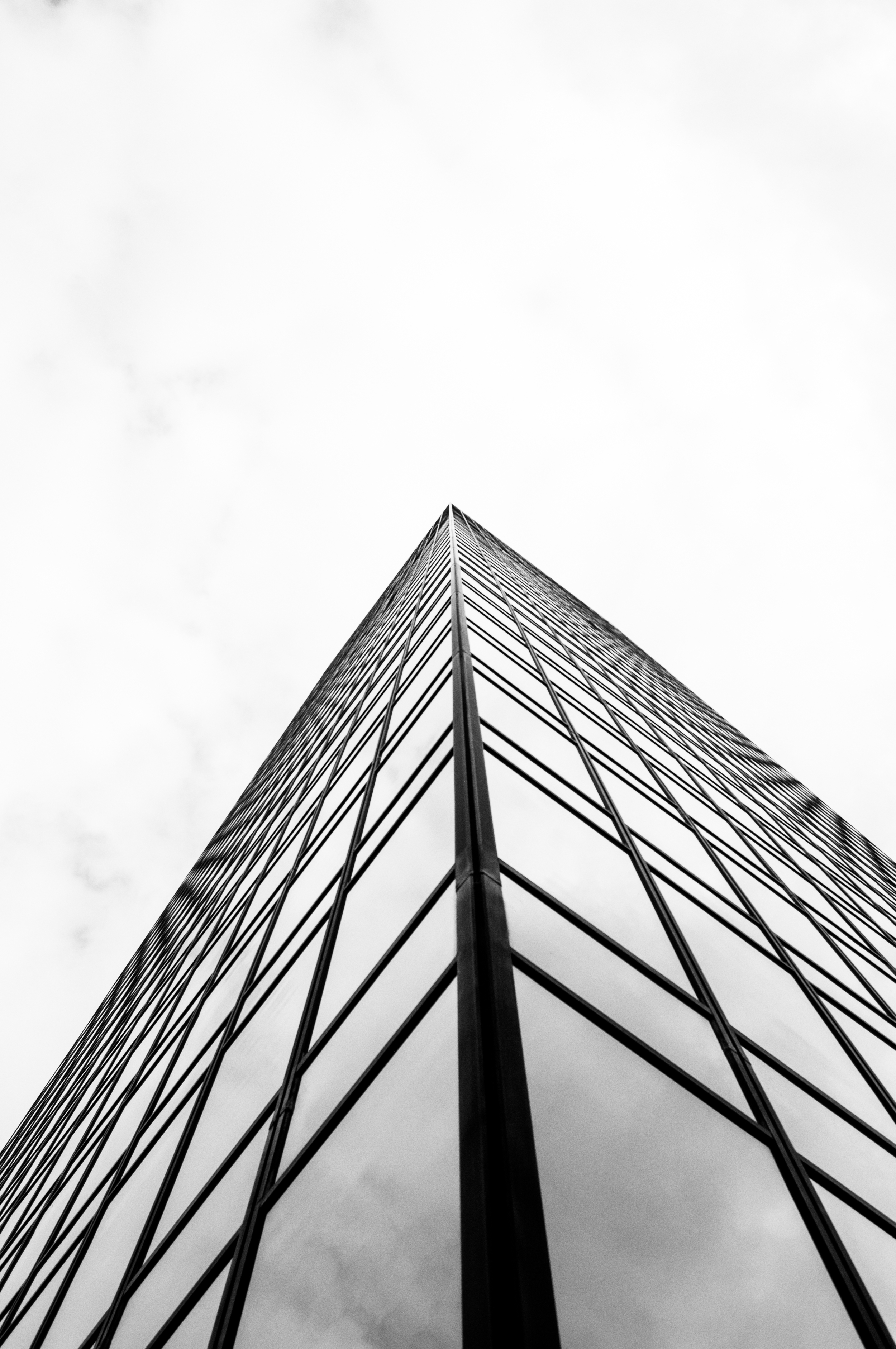 DSC_0335.jpg