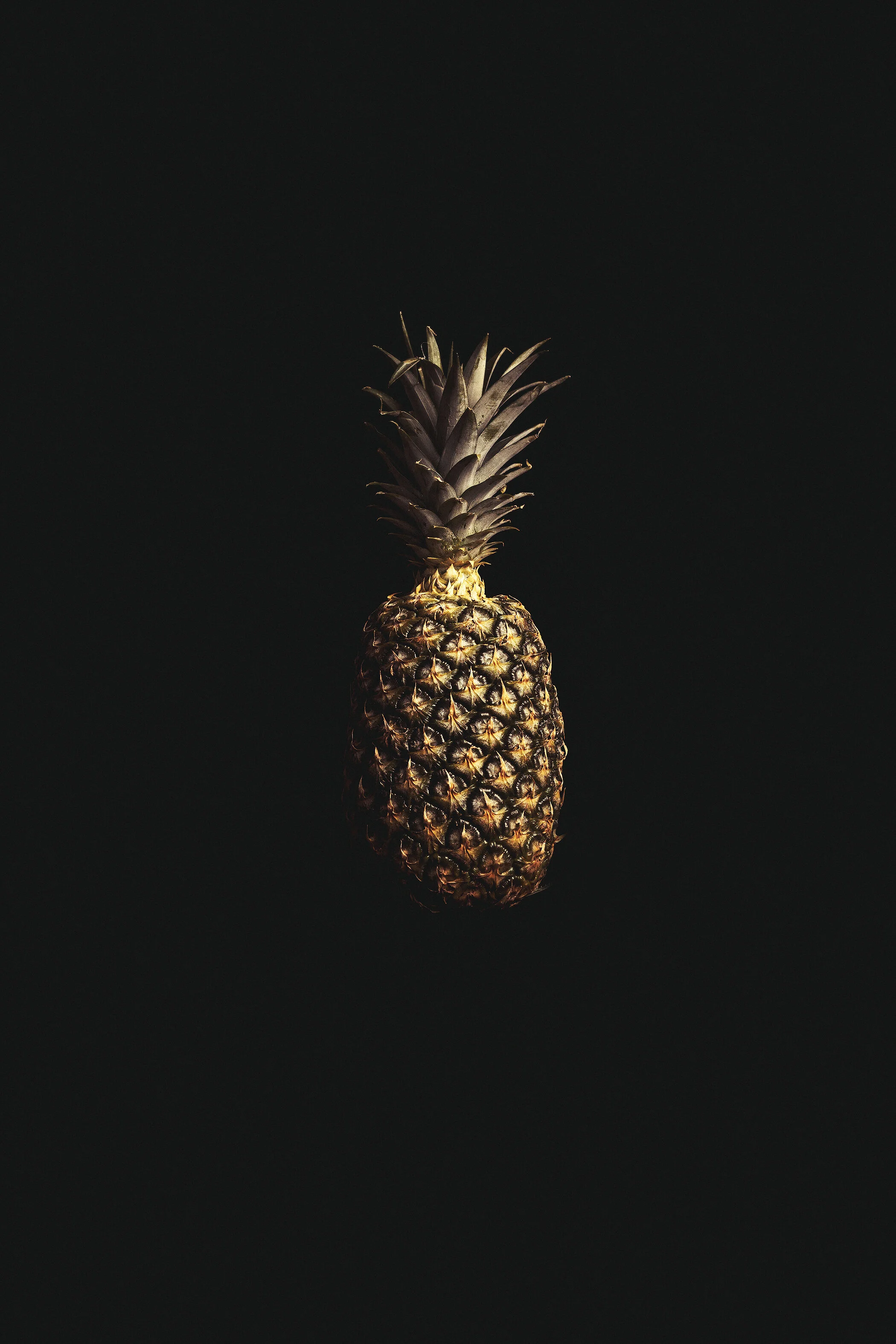pineapple.jpg