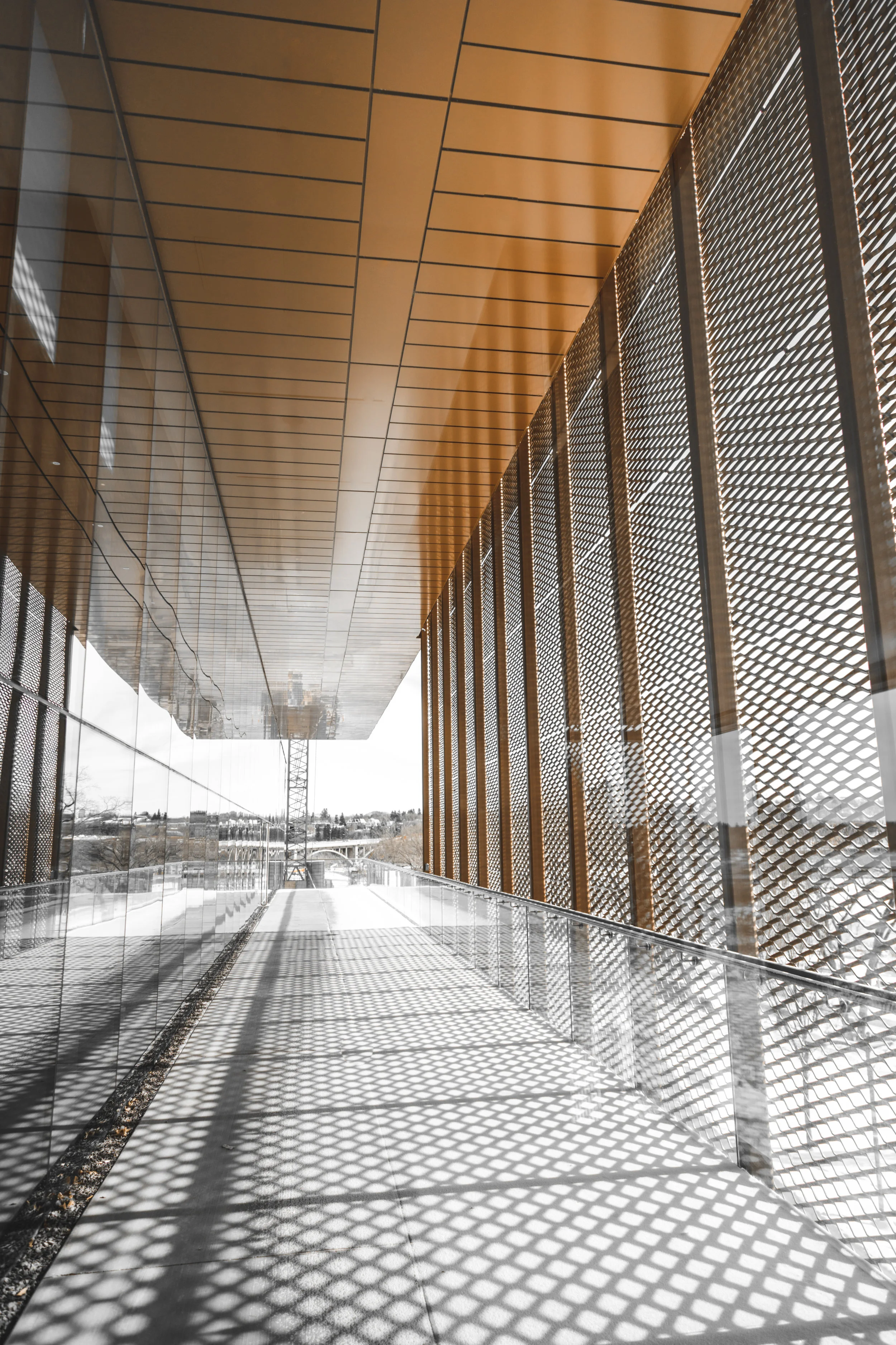cds-export--9101.jpg