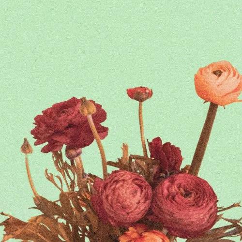 Spring Trade In &amp; Sales Event