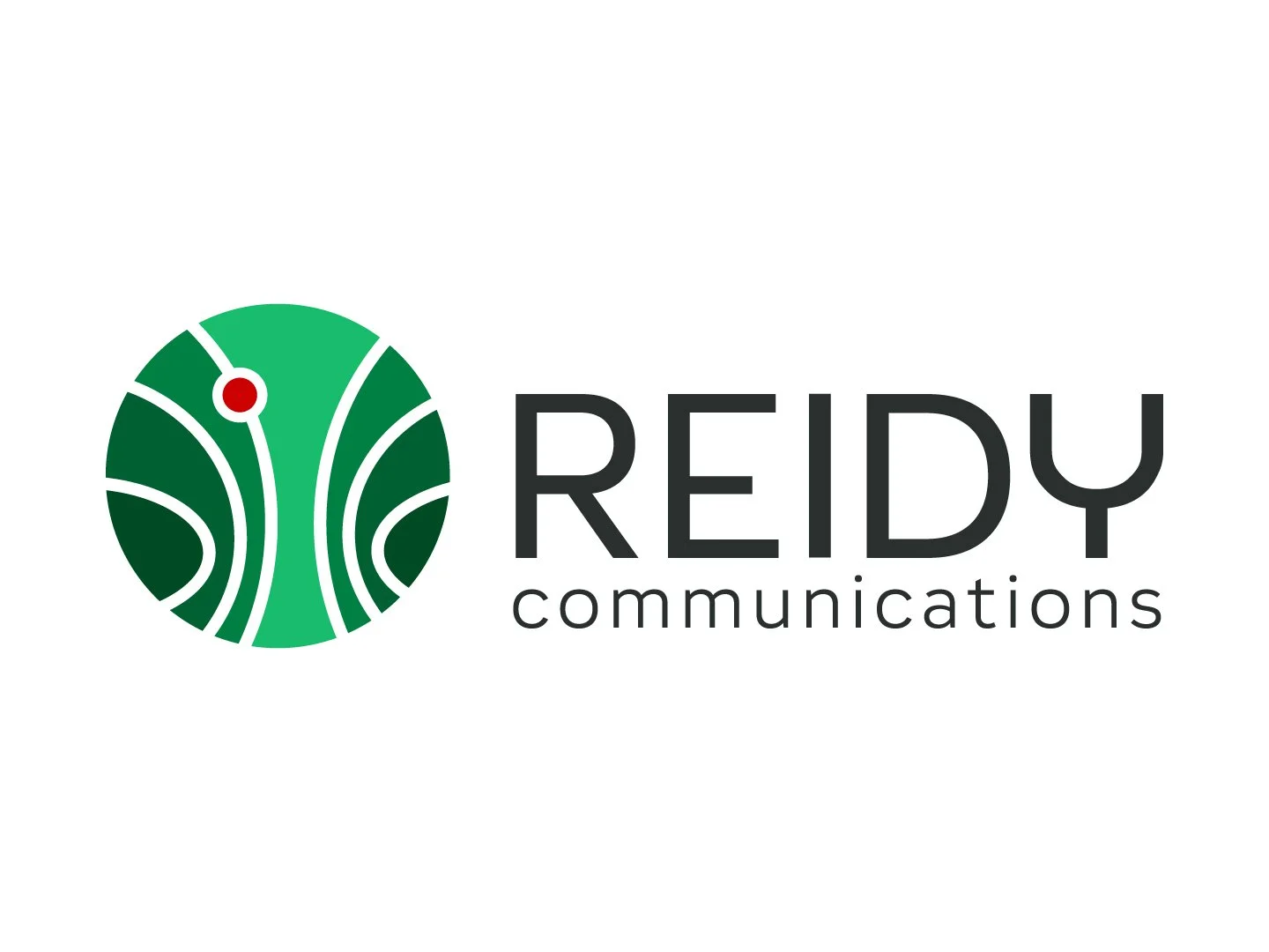 DMS_Logo_Reidy-1.jpg