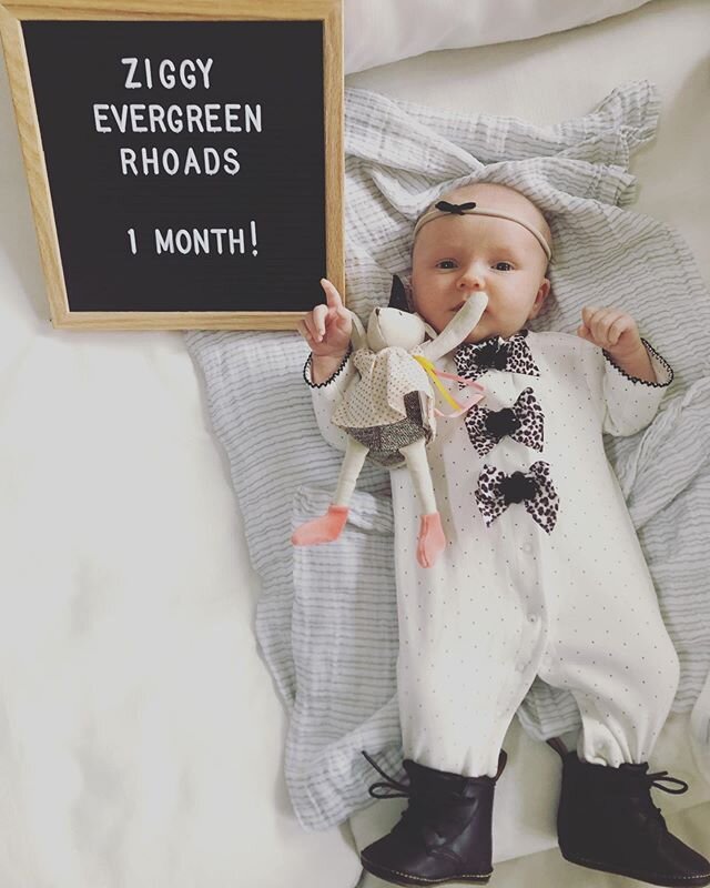 Ziggy x 1 month! @ksrhoads picked out her outfit. I picked the Dr. Martens. And the black bow, courtesy of my mom. (so she will quit bugging me to put a bow on her so that people will know she&rsquo;s a girl)
The first pic is Instagram luck. The midd