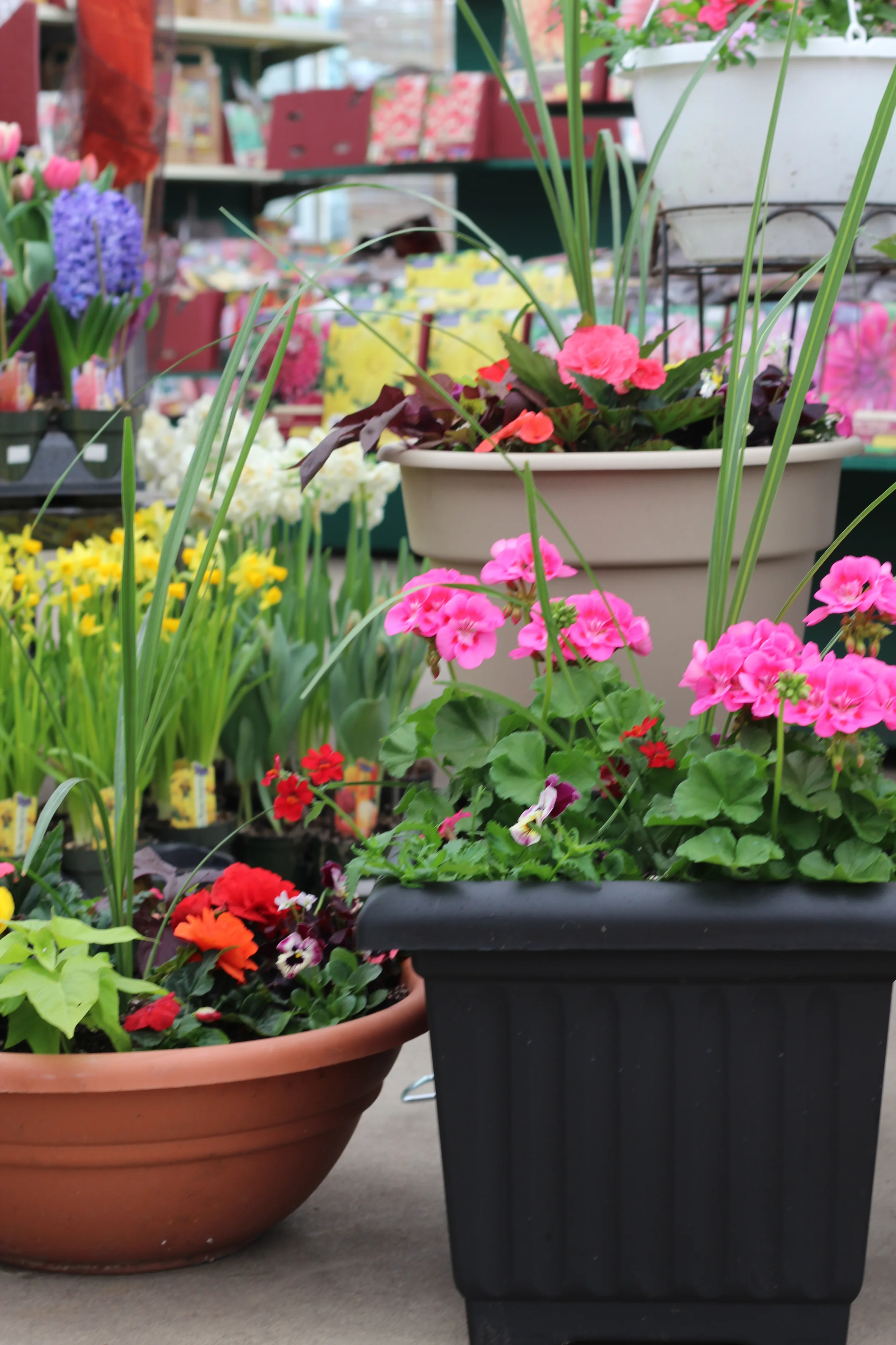 Container gardening offers a very versatile and low-maintenance option for gardening enthusiasts.