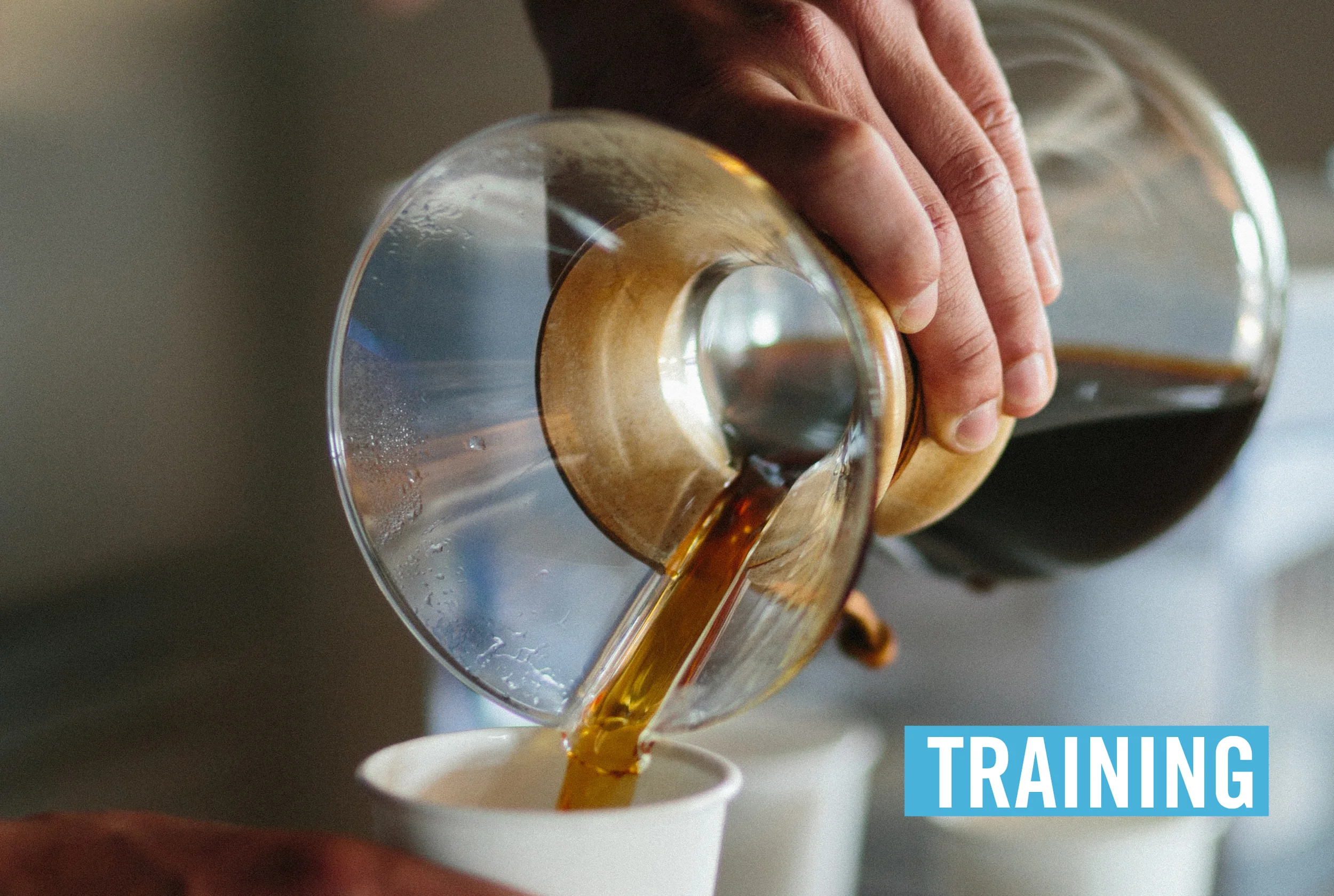 TRAININGSMALL-01.jpg