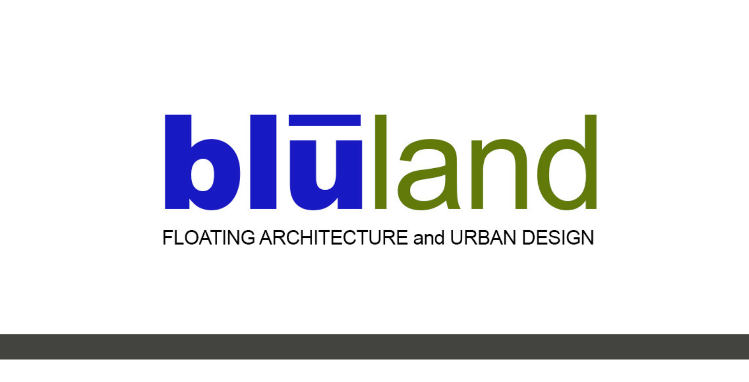 bluland portfolio image.png