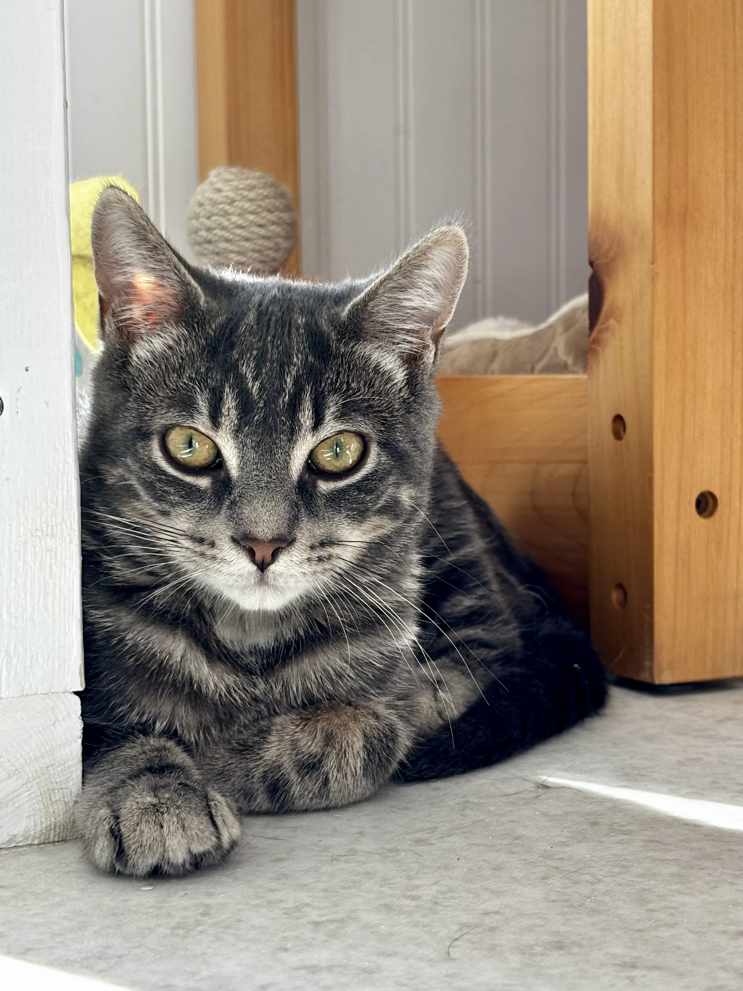 Marvin