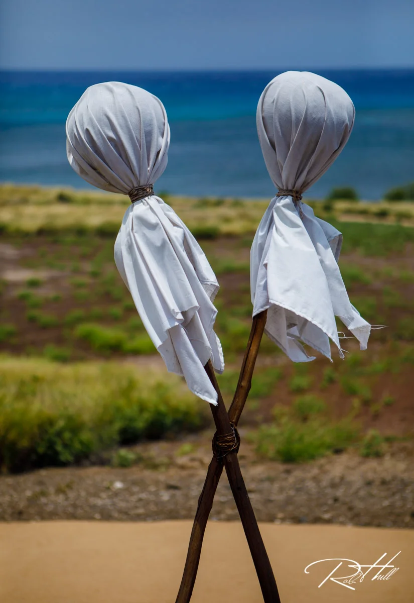 Hawaii-3371-WEB.jpg
