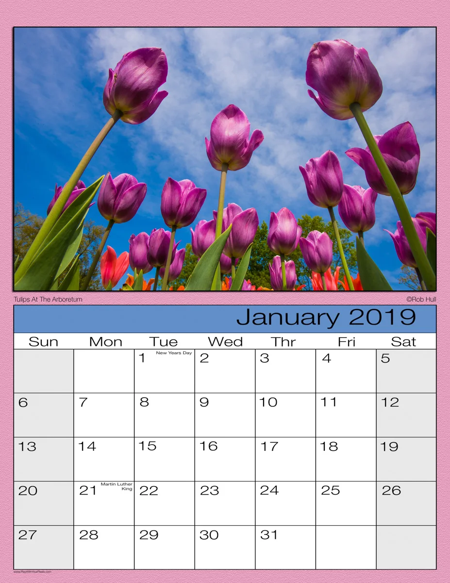 Tulip Sample-1200.jpg