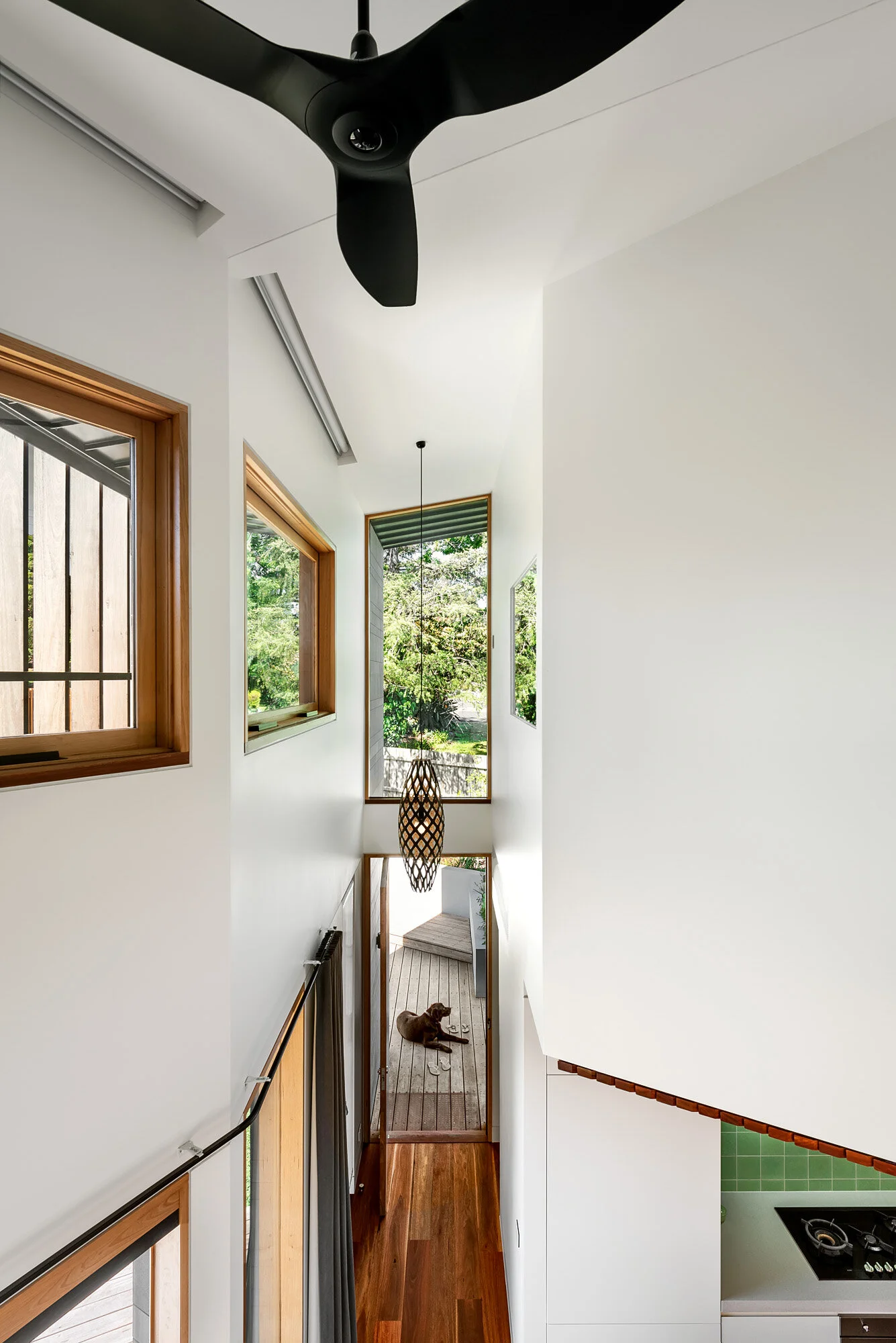 Double height void over kitchen with high level north facing windows.