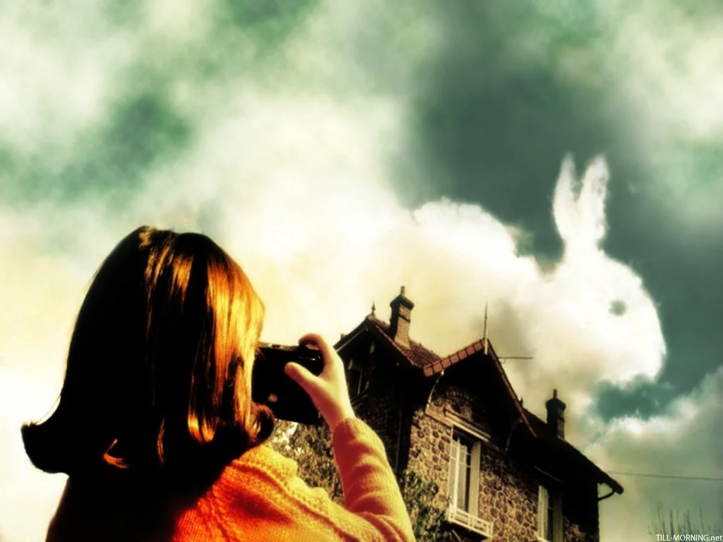 amelie_bunny_pic.jpg