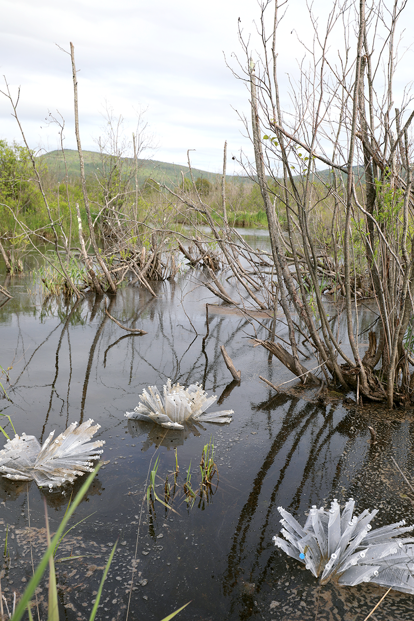 Marta Staudinger - No Mud No Lotus 1.png