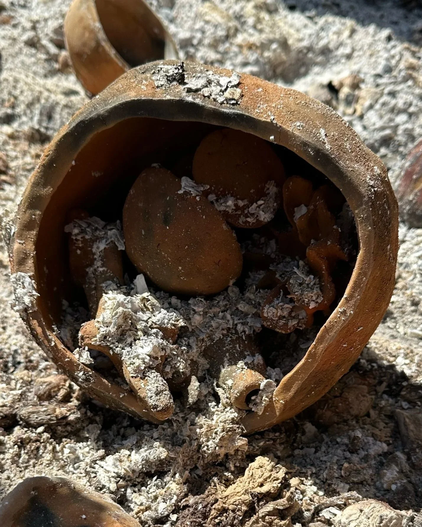 wild-clay.jpg