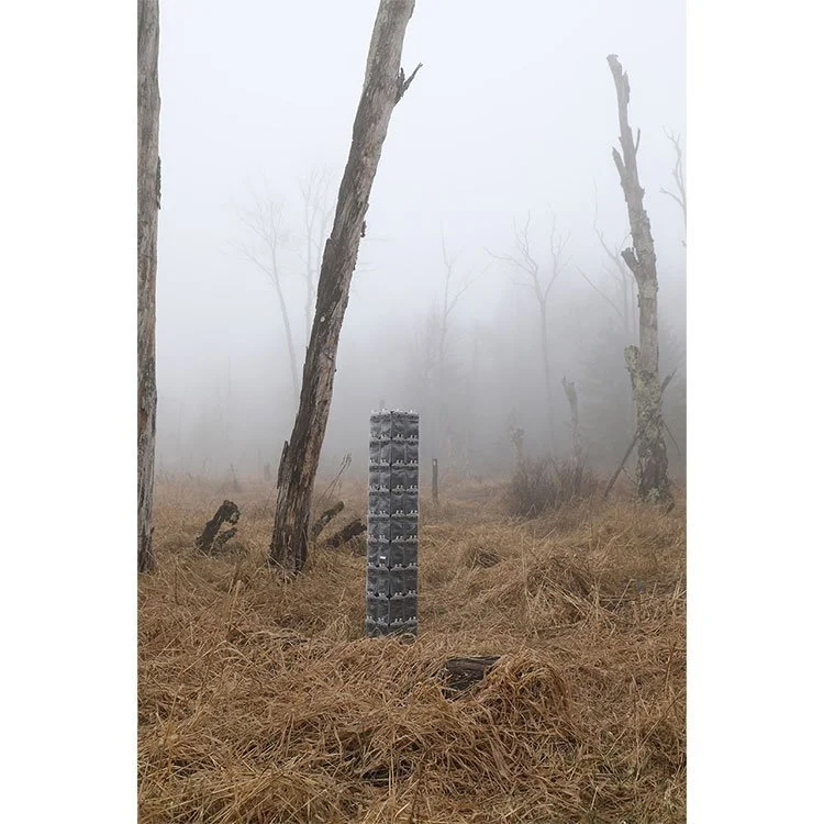 Glutathione Tower .jpg