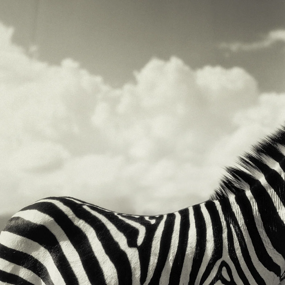3586_12-Edit.jpg