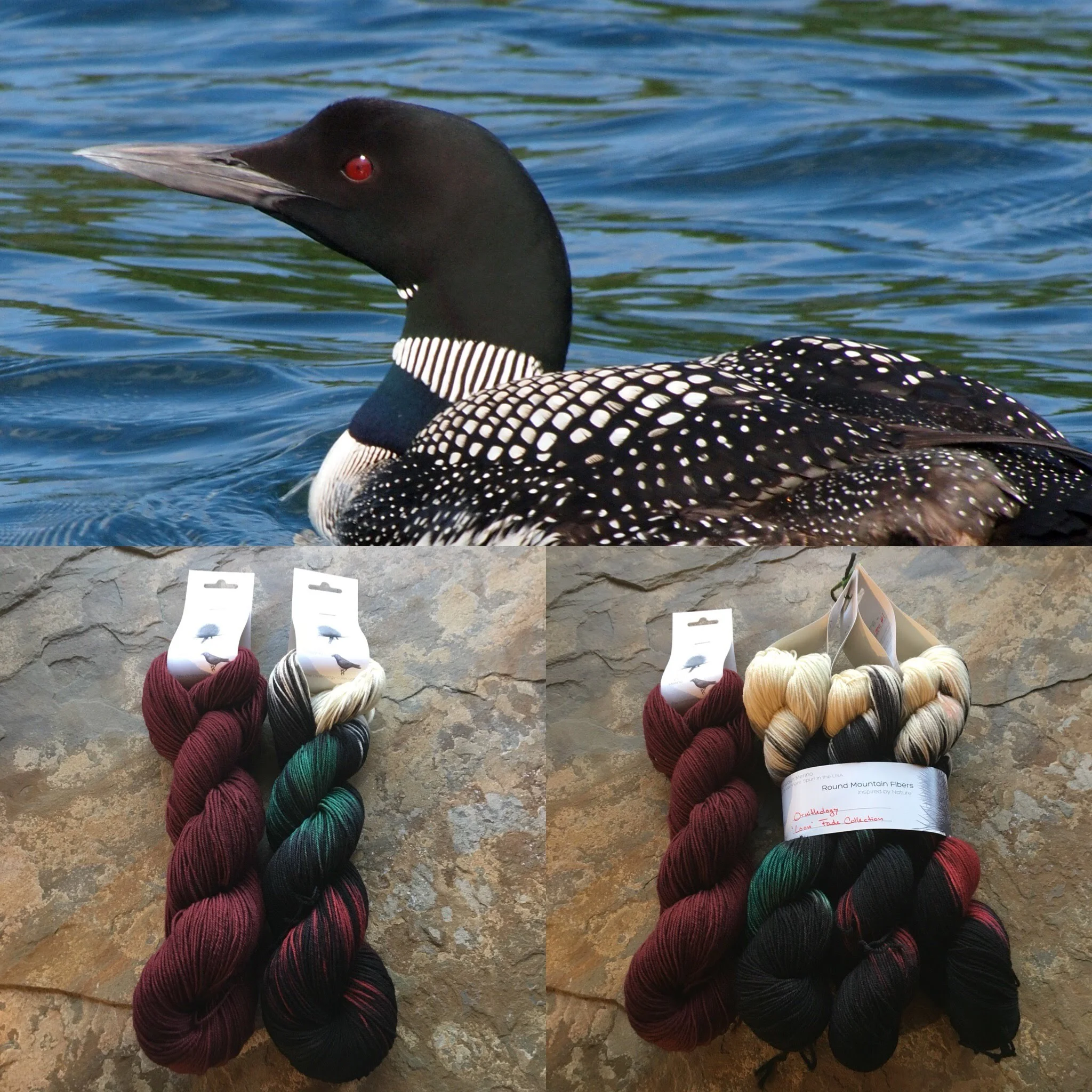 loon collage.jpg
