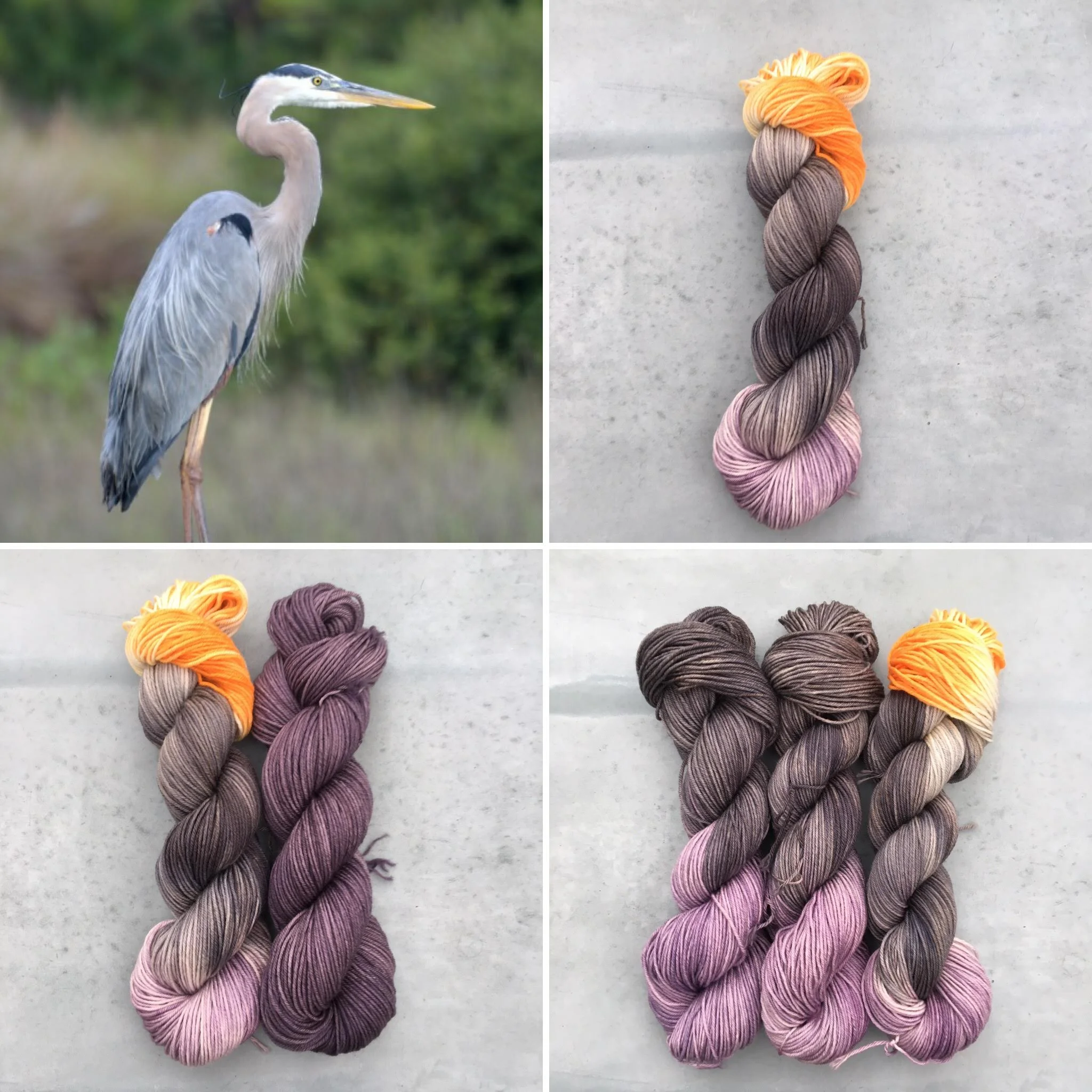 heron collage.jpg