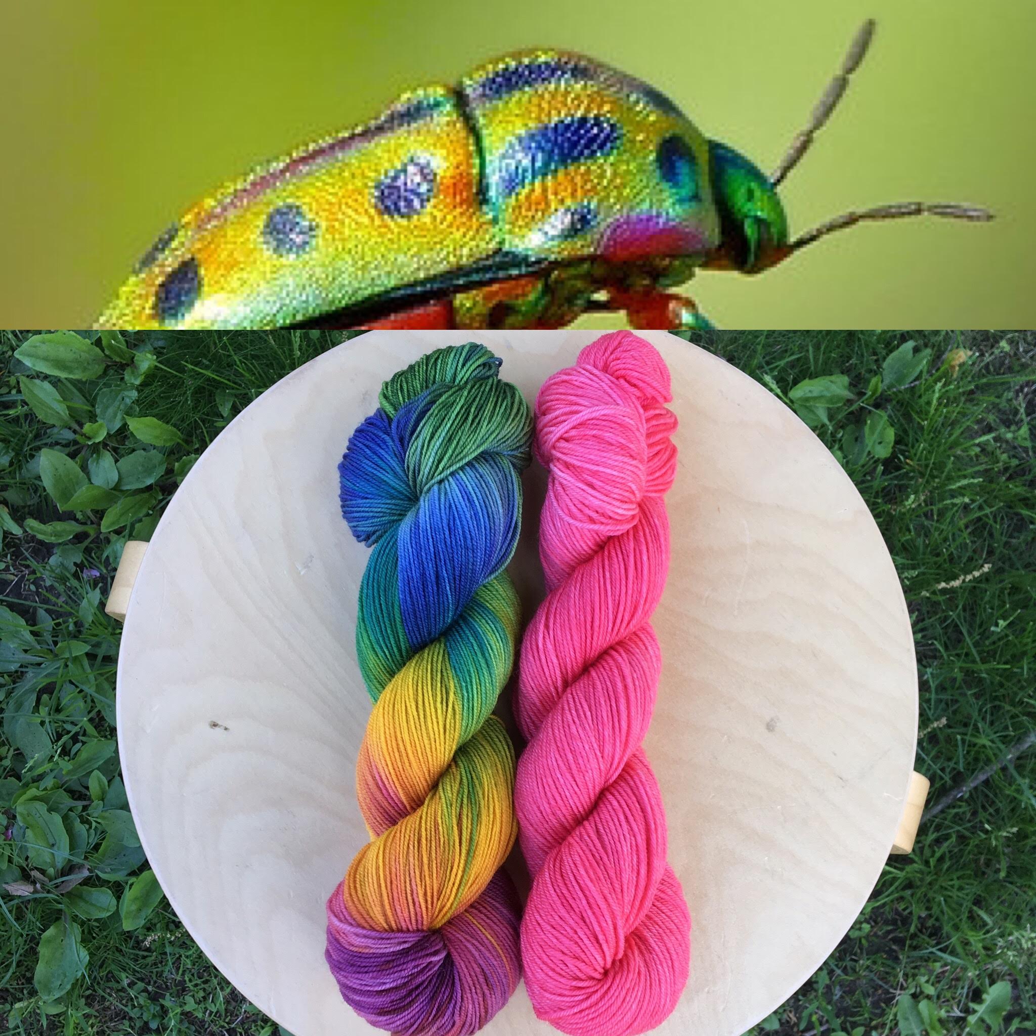 July Entomology Club. Colorway: Rainbow Shield Bug. Semisolid: Shield Bug Legs.