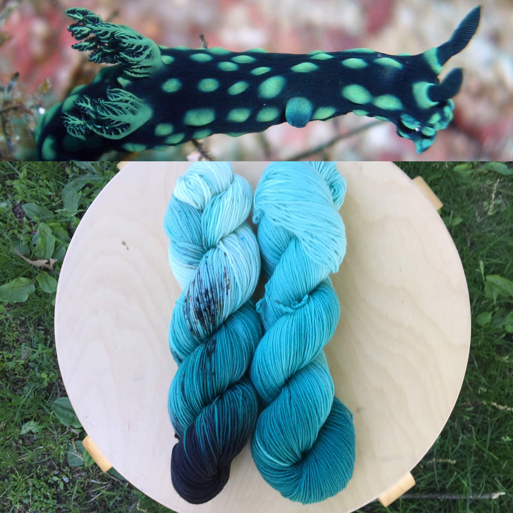 July Aquatic Club. Colorway: Nudibranch Cristada. Semisolid: Nudibranch Blue.