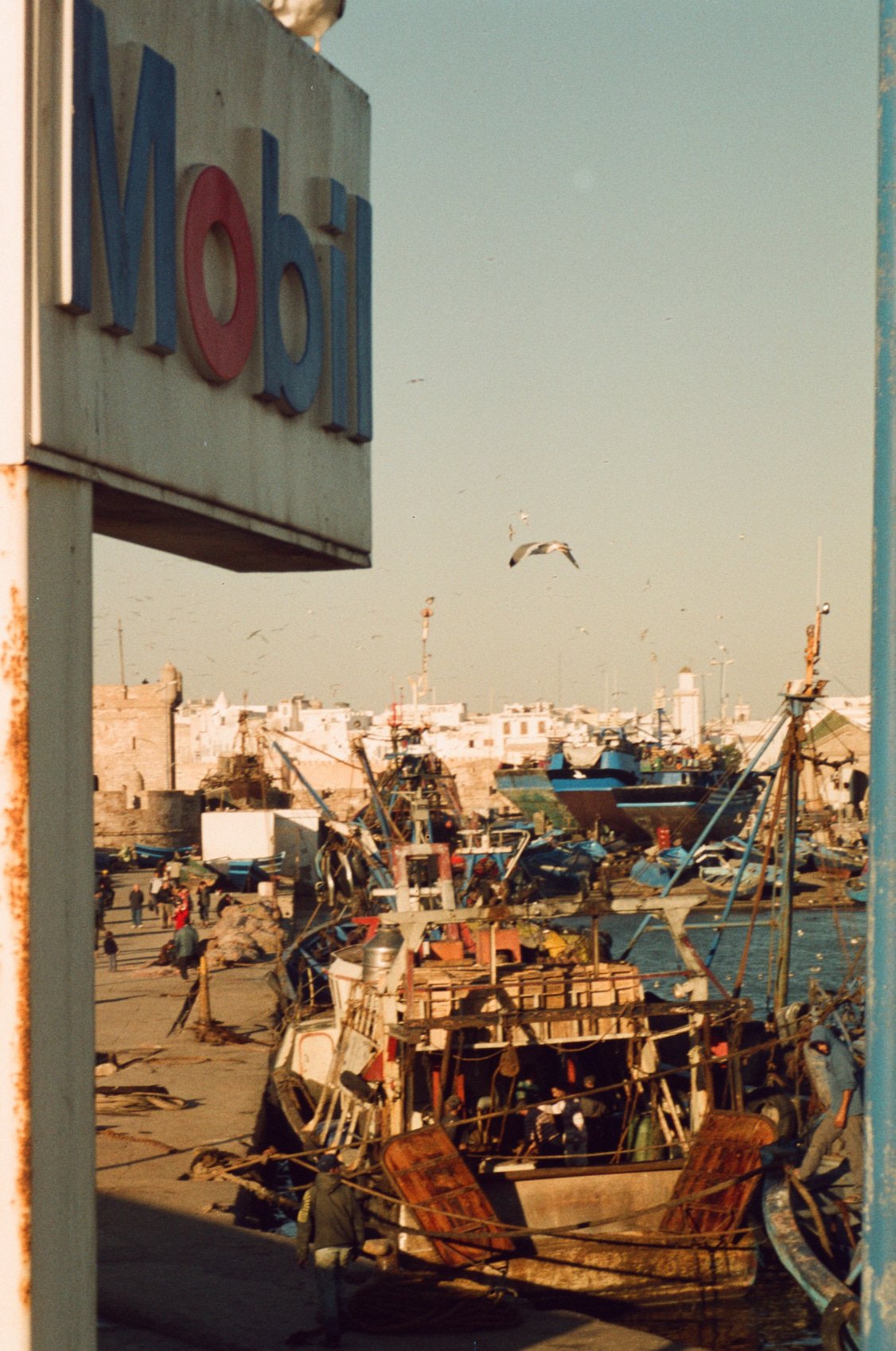 25-05-06_morrocco_3_0060.jpg