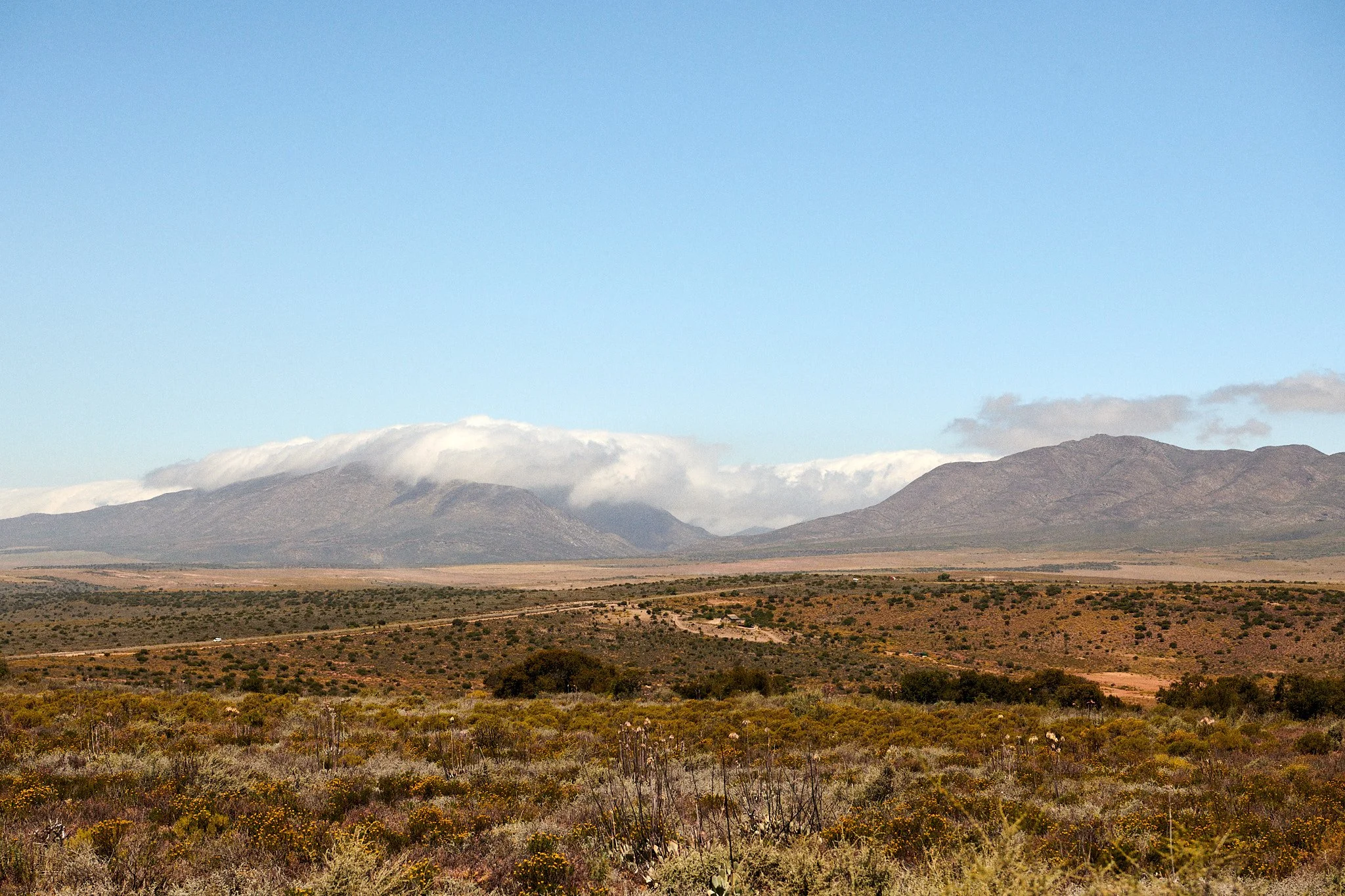 24-12-11_cape_town_0369.jpg