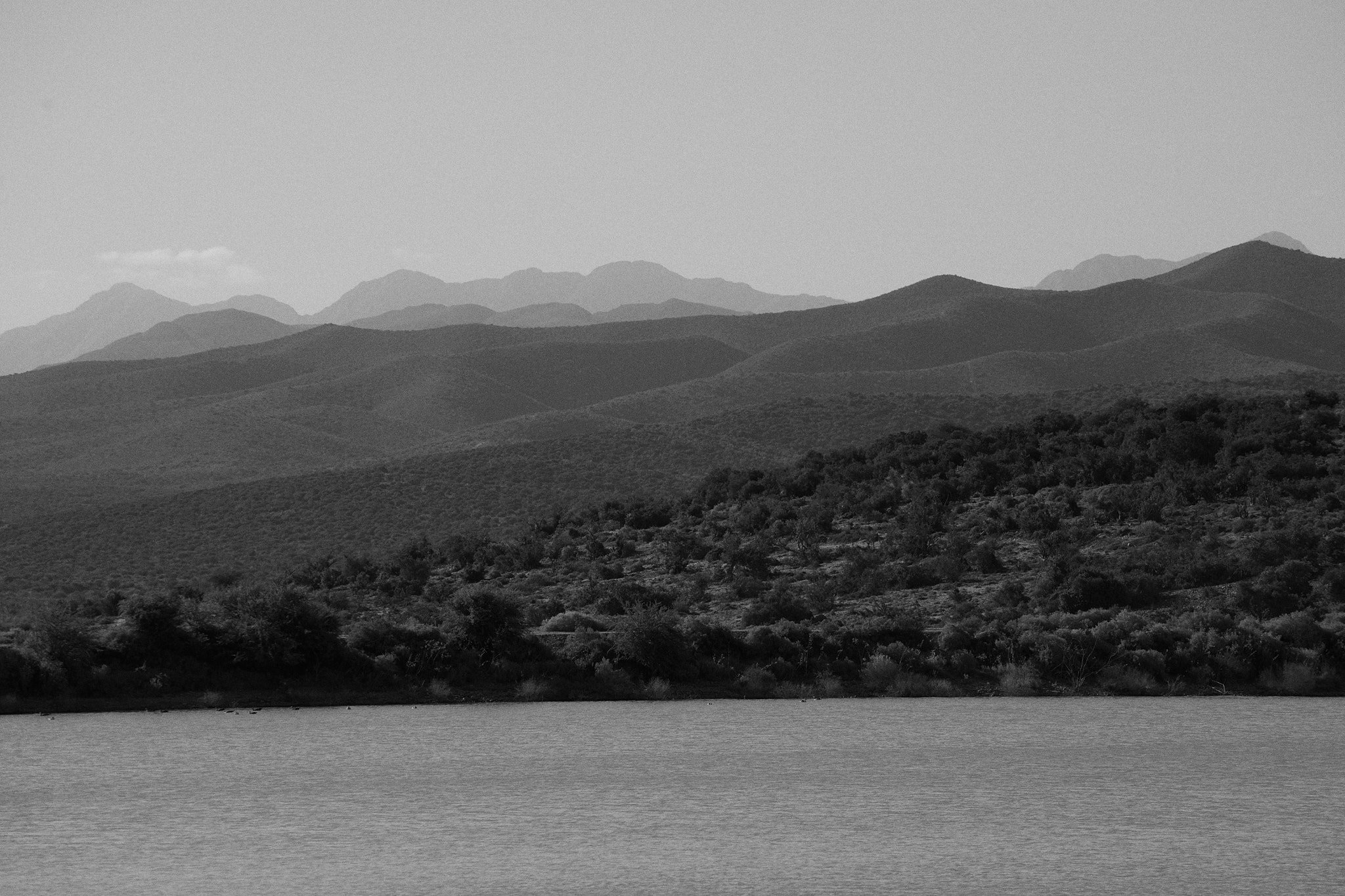 24-12-12_cape_town_0444.jpg