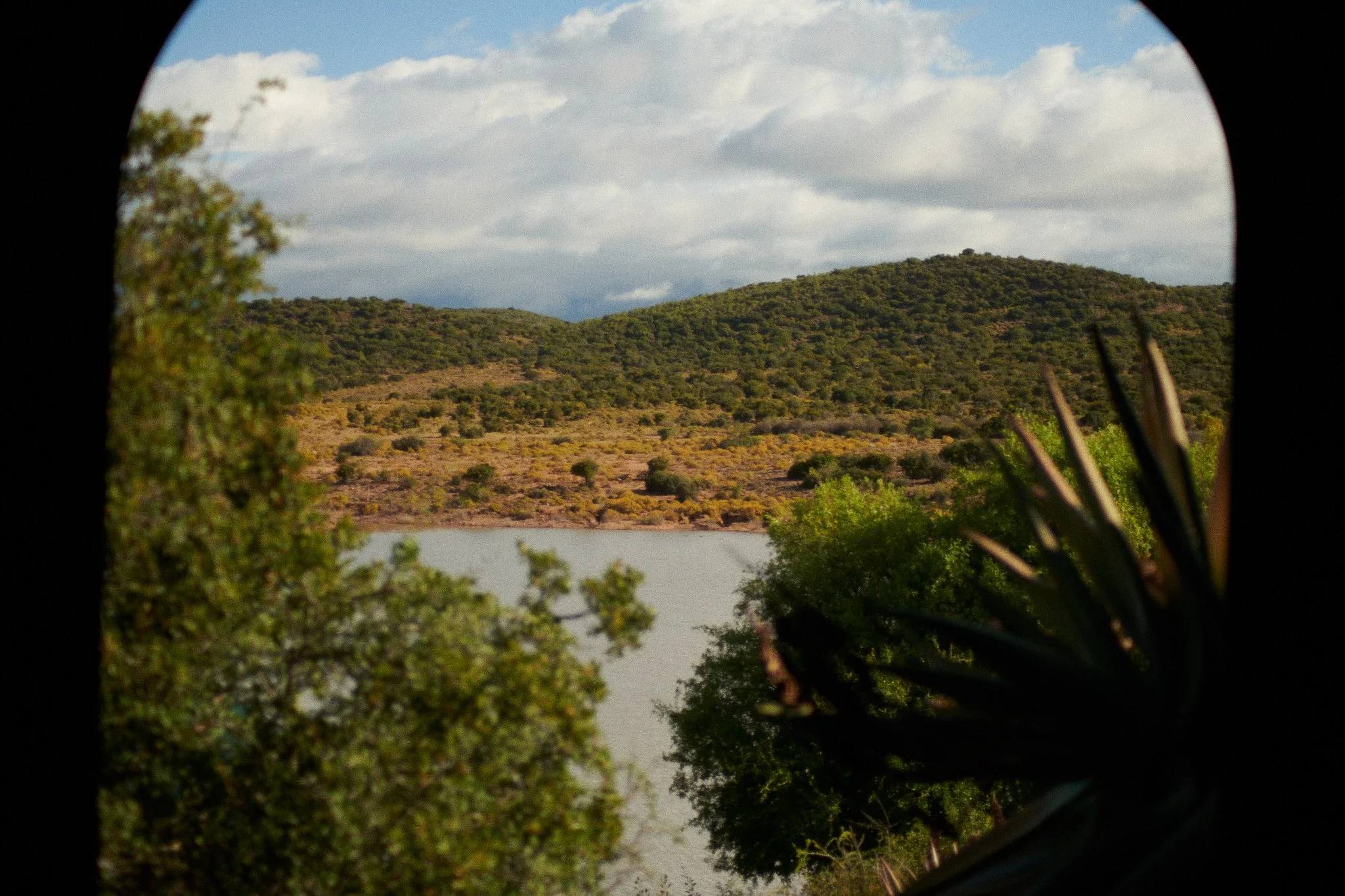 24-12-12_cape_town_0448.jpg