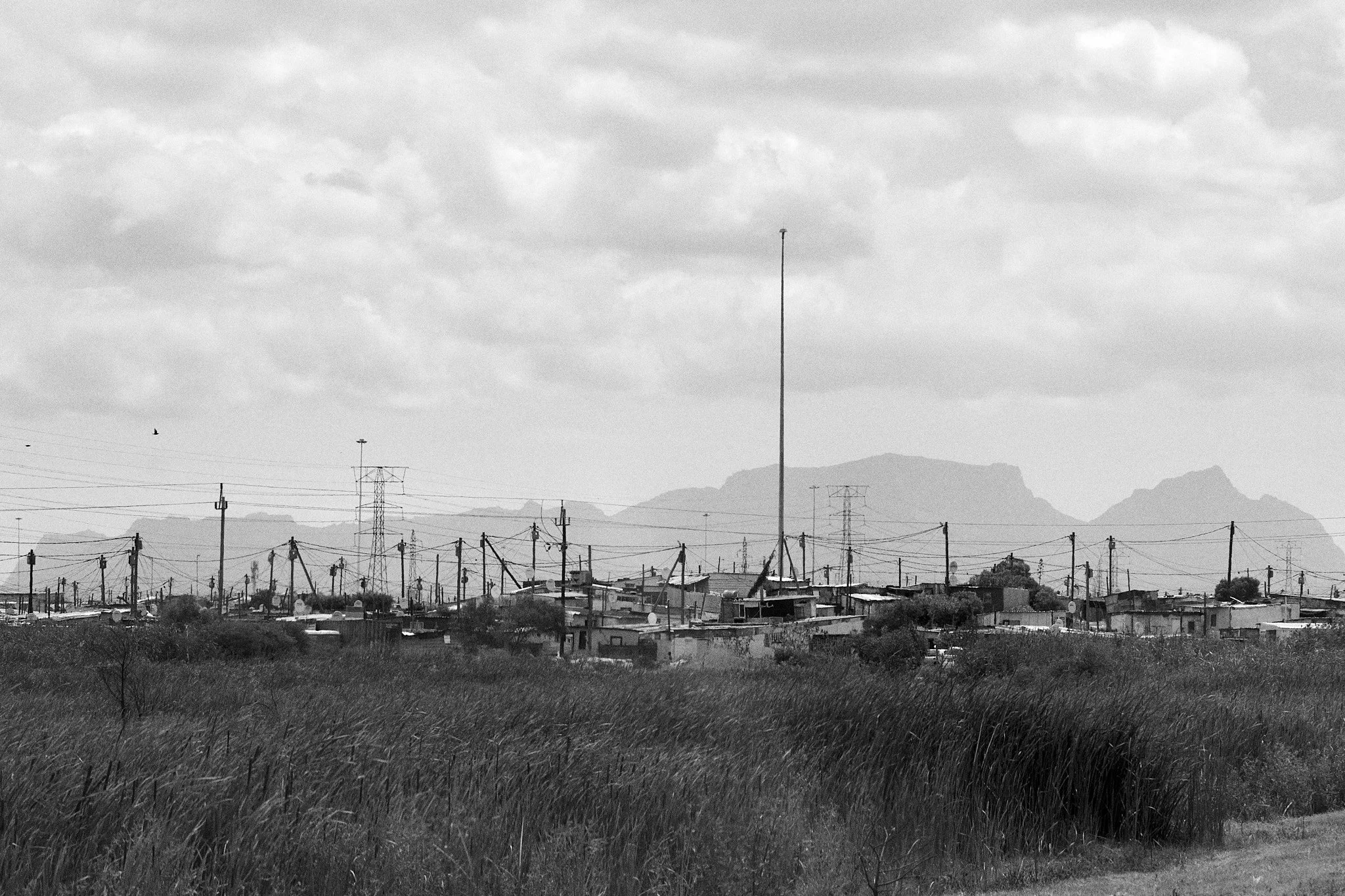 24-12-13_cape_town_0550.jpg