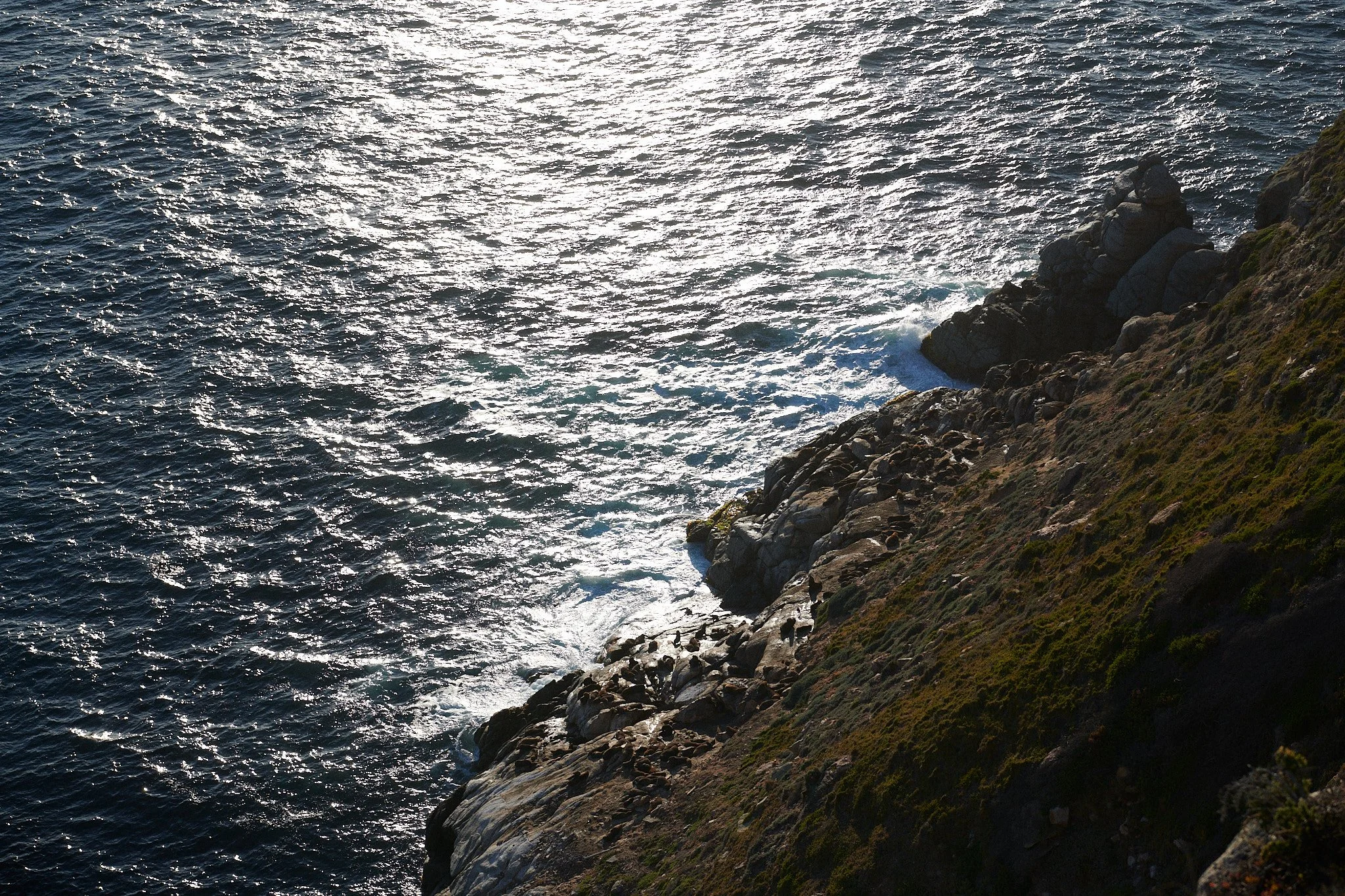 24-12-20_cape_town_0820.jpg