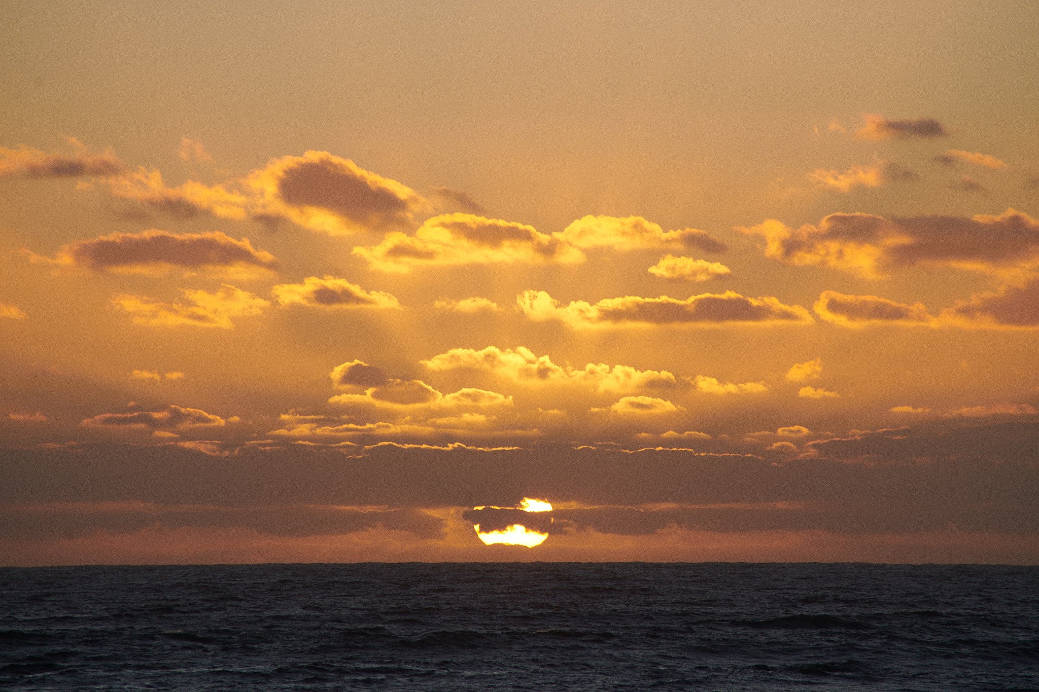 24-12-24_cape_town_0934.jpg
