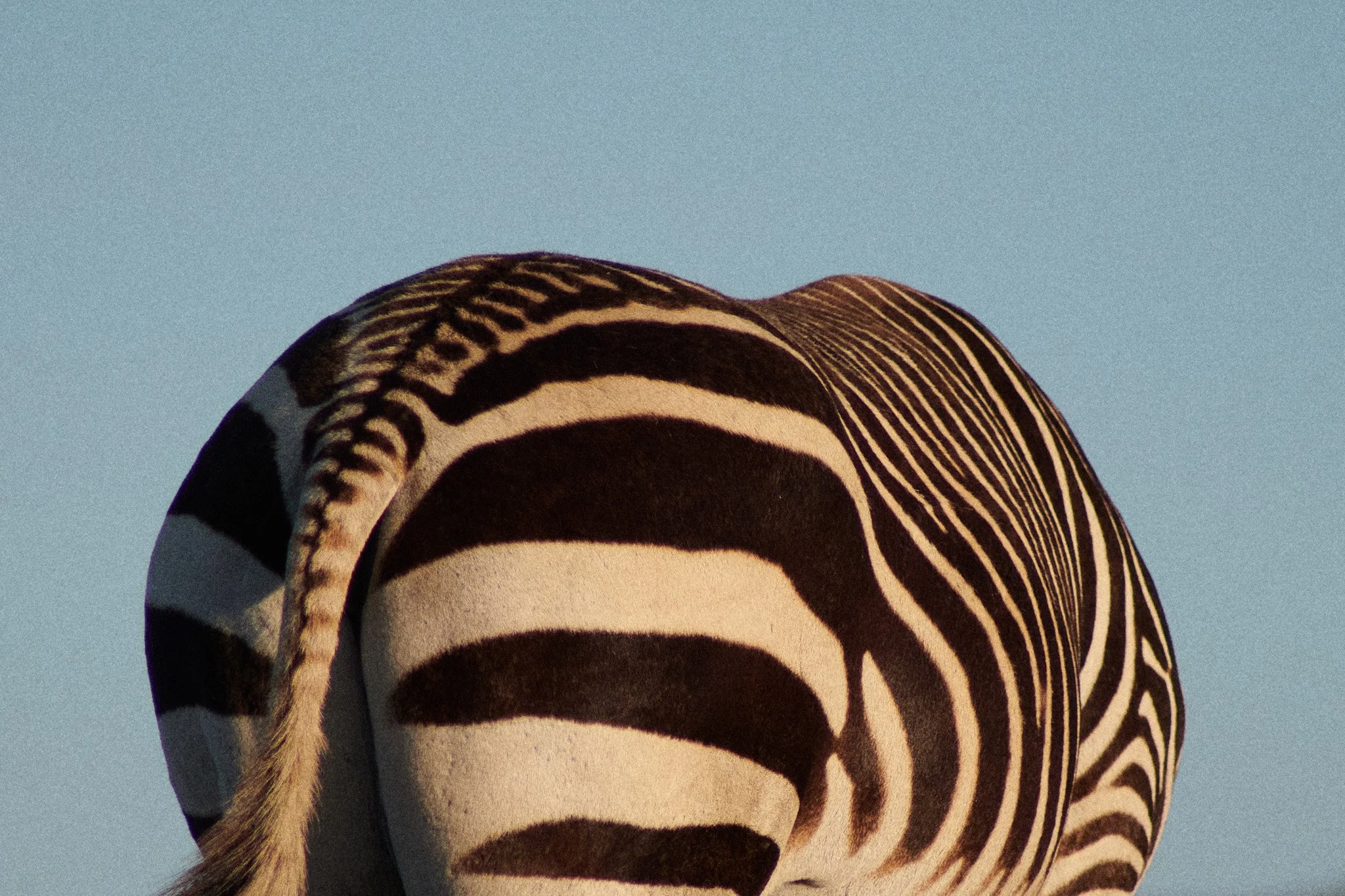 24-12-24_cape_town_0963.jpg