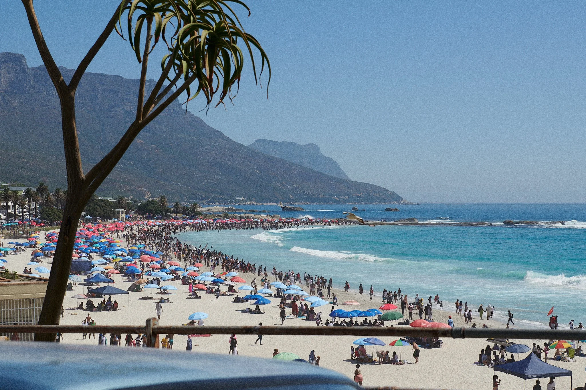 24-12-26_cape_town_1093.jpg