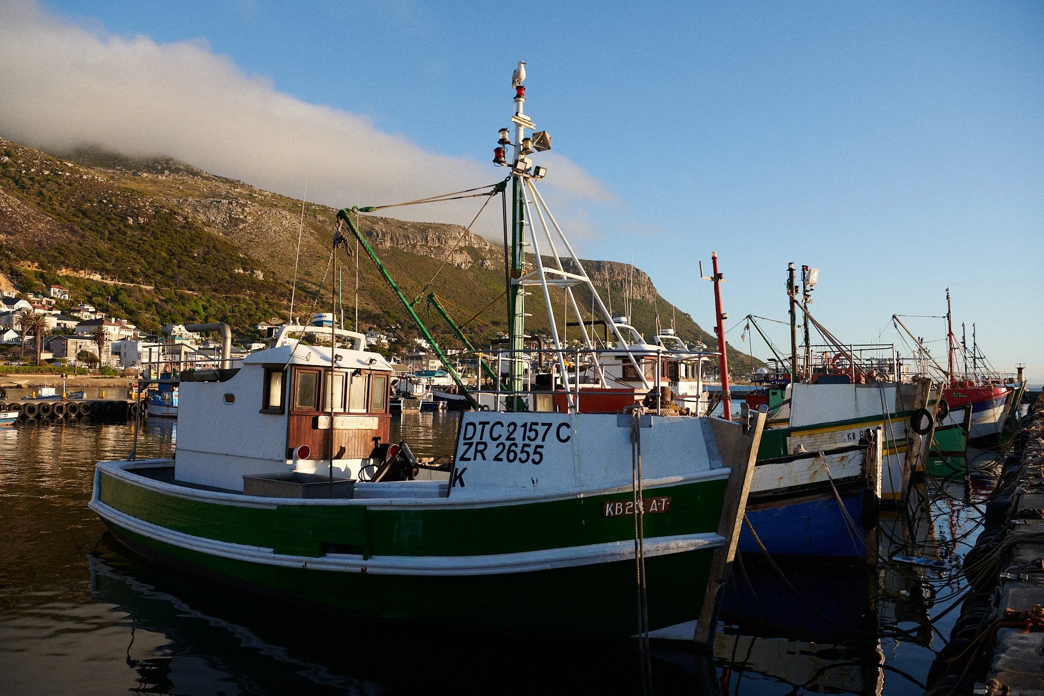 25-01-02_cape_town_1197.jpg