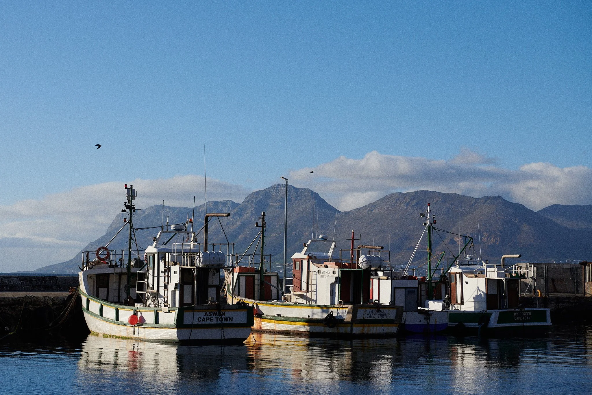25-01-02_cape_town_1308.jpg