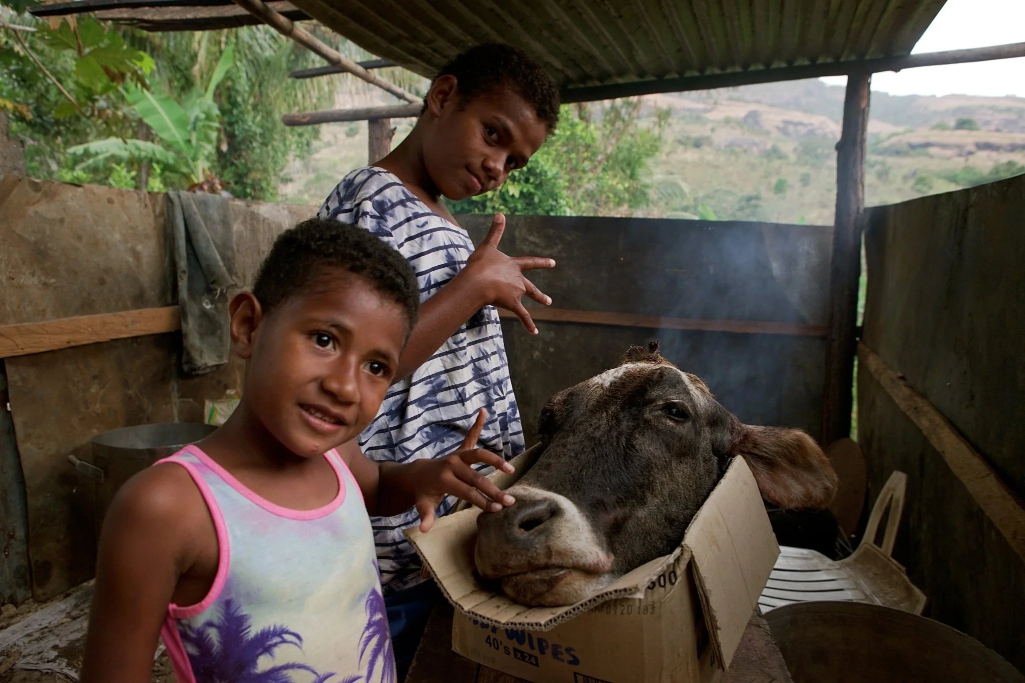 18-08-24_fiji_palms_0413.jpg