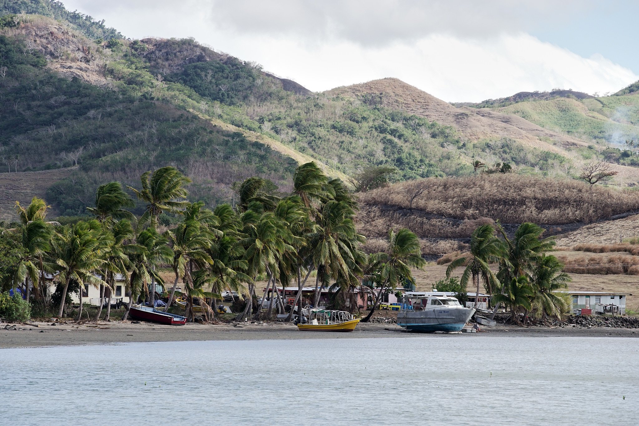 18-08-26_fiji_palms_0453.jpg