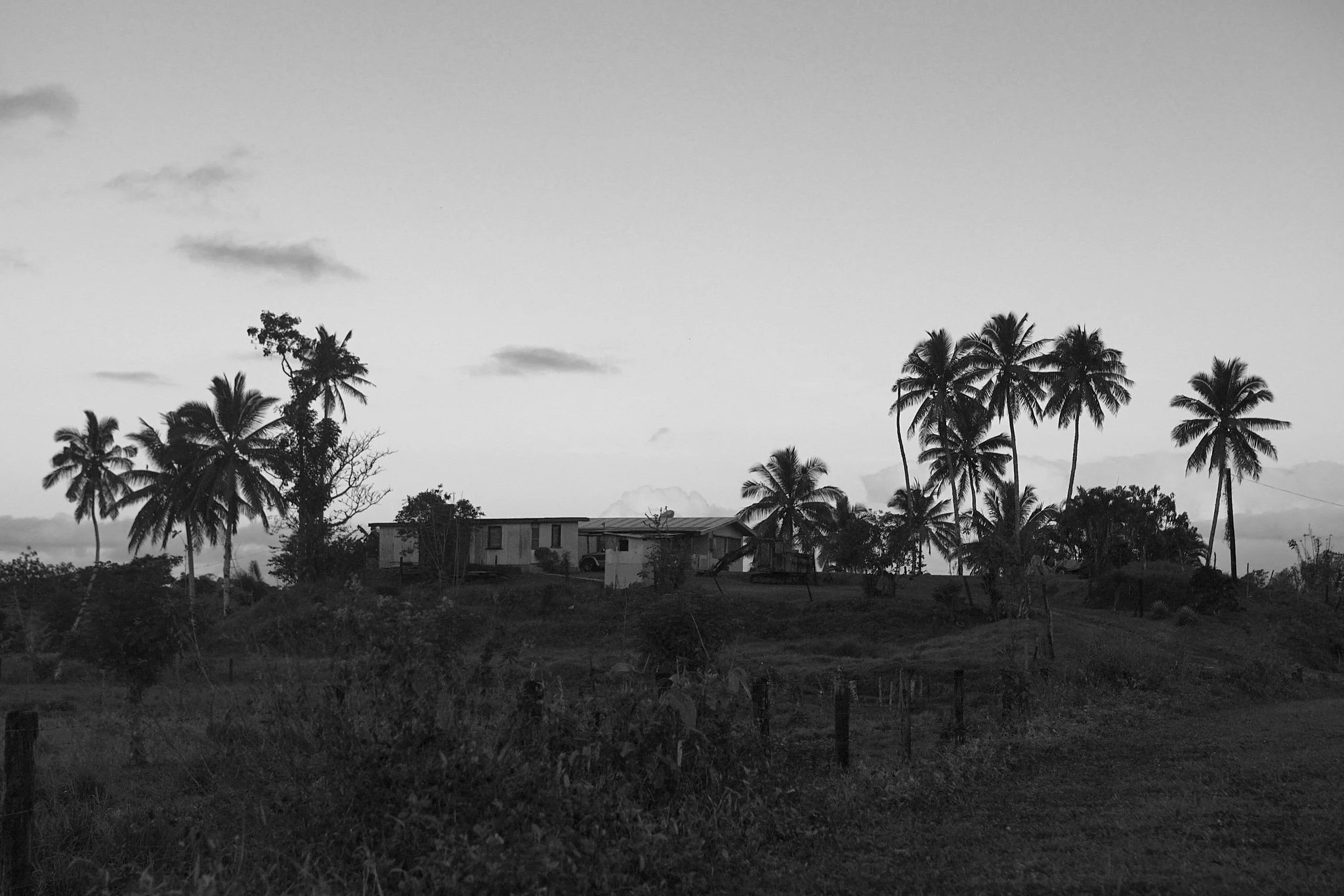 18-08-27_fiji_palms_0465.jpg