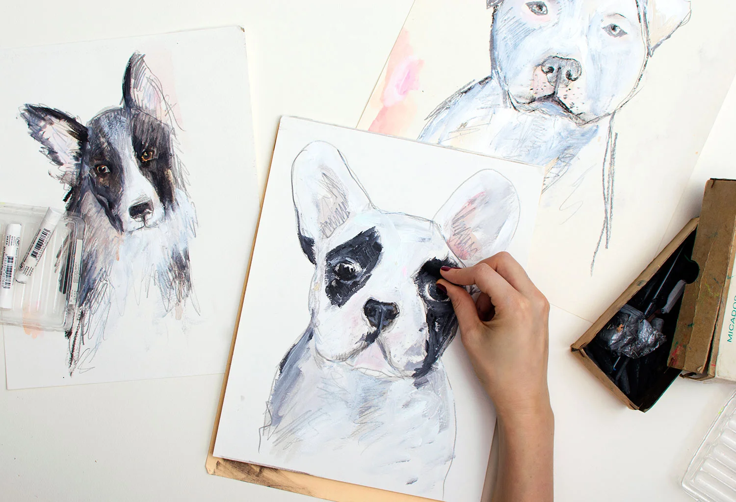 Artist work in progress drawings of dog portraits in charcoal, pencil and pastels.