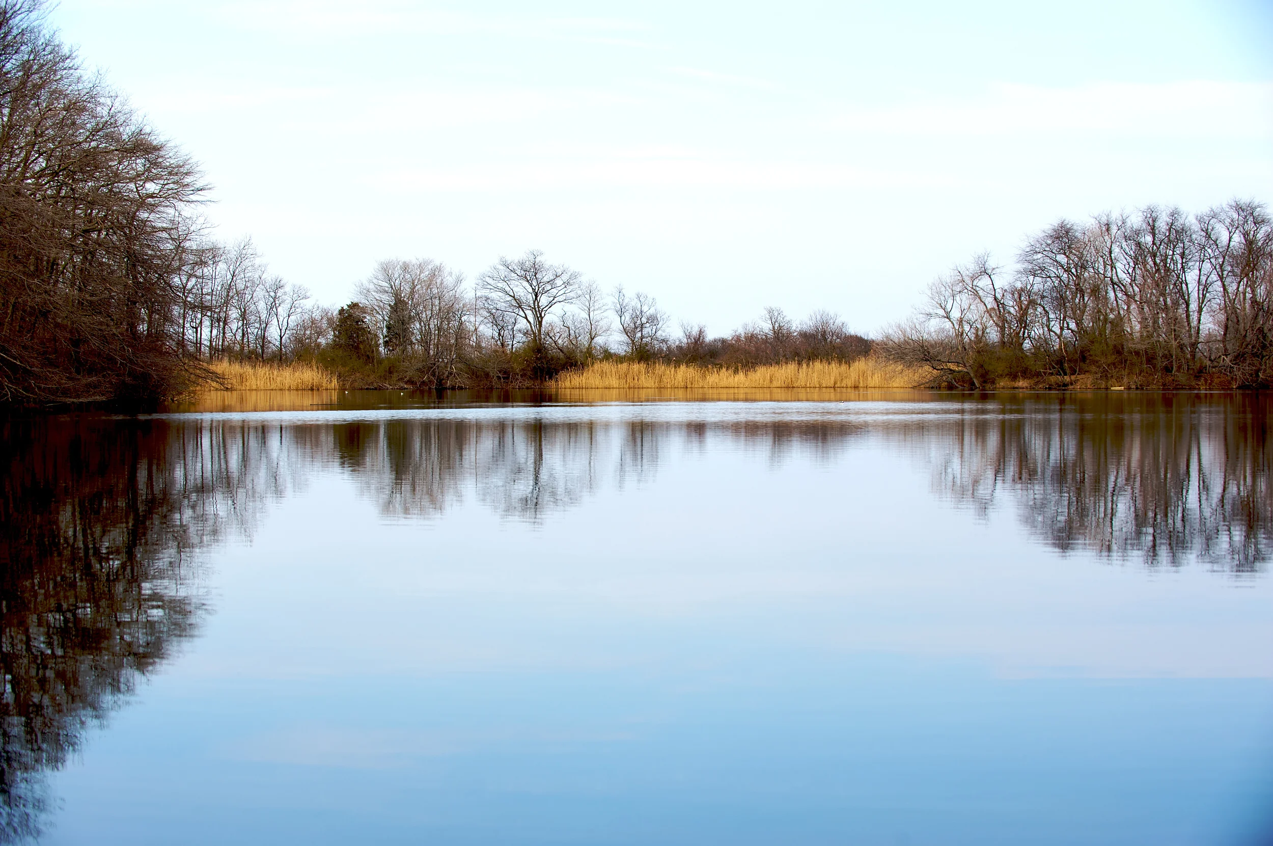 CaumsettPond.jpg