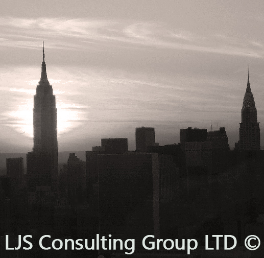 LJS Consulting group LOGO.png