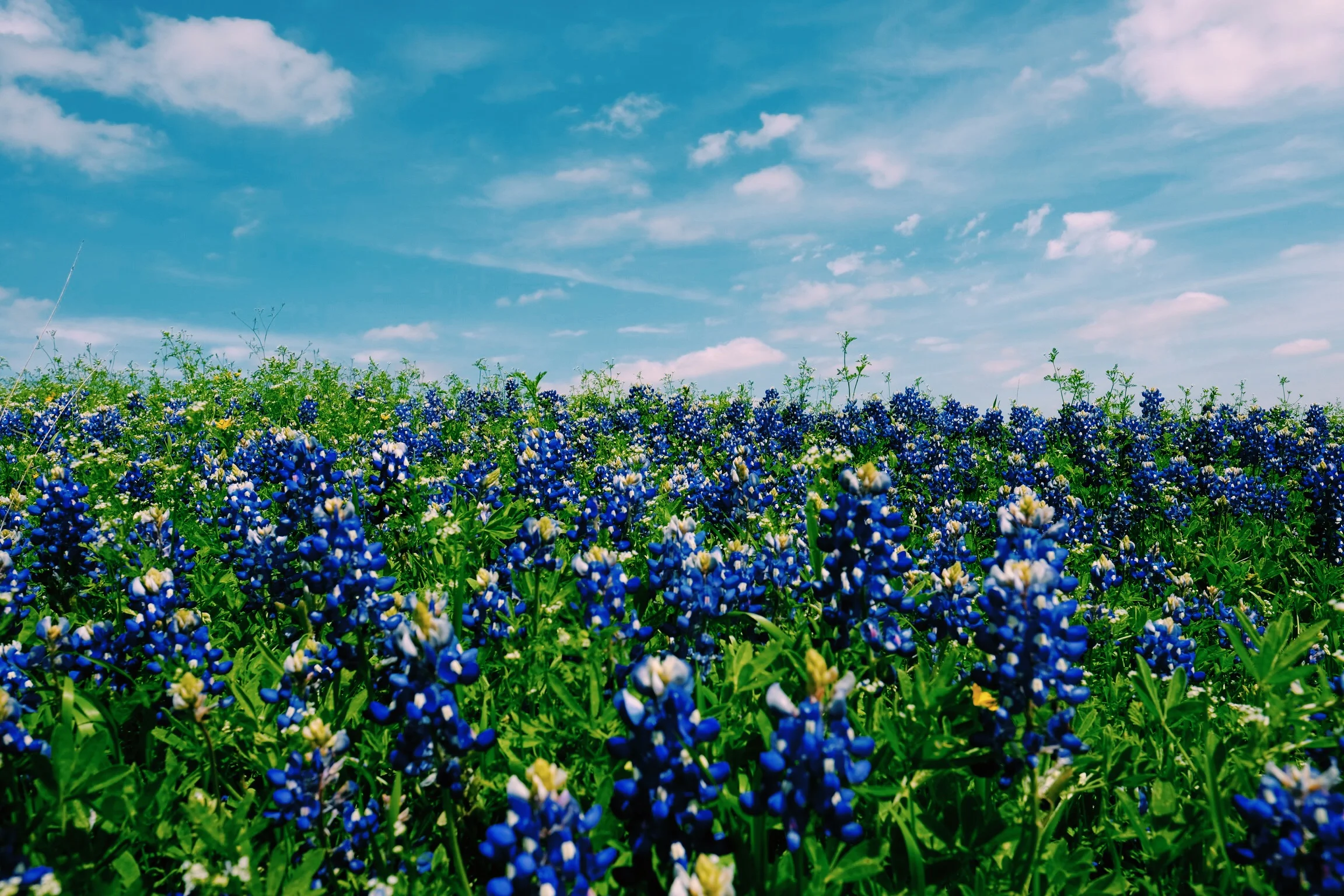 What Is The Hill Country?