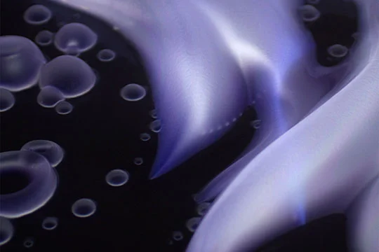 Gallery Chat: NEAT Artist Mary Franck