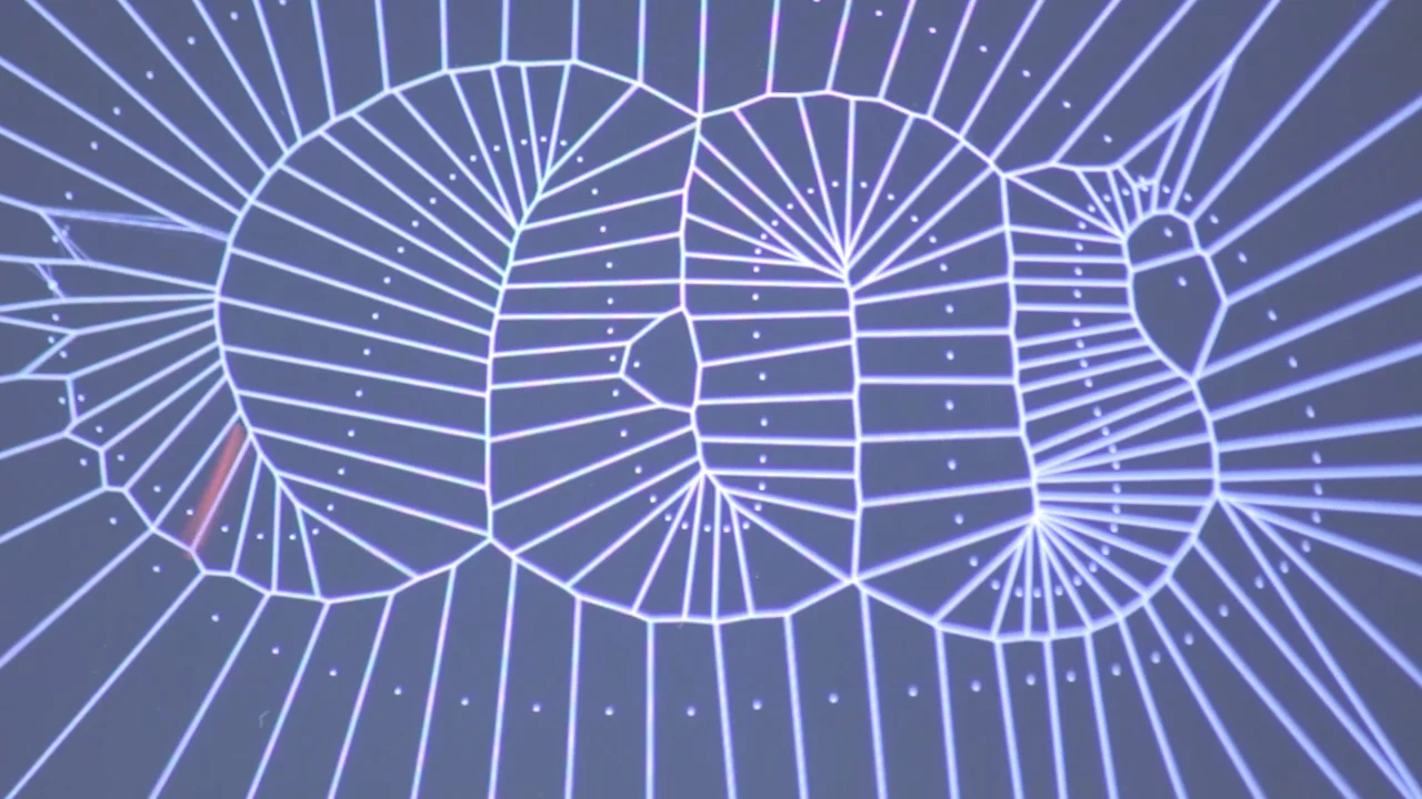    Bubble Harp  , 1997 / 2010 (for iPad)    Custom software, iPad   Variable dimensions   Courtesy of the artist  