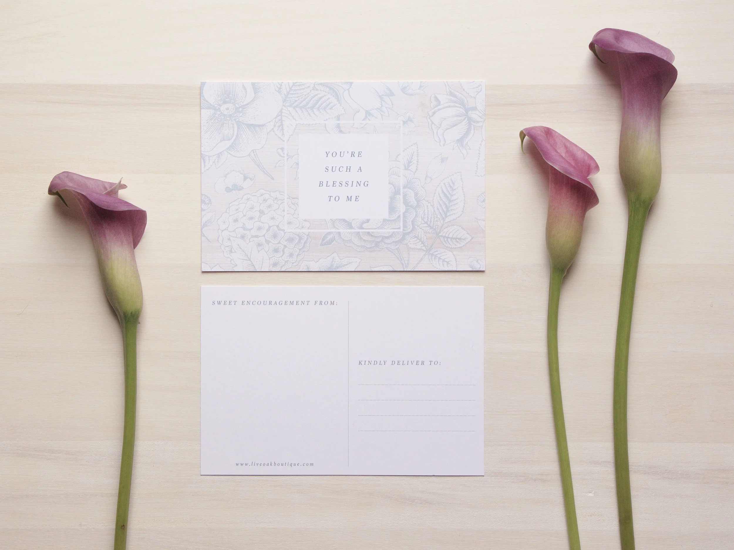 Encouragement Postcards: Live Oak Boutique