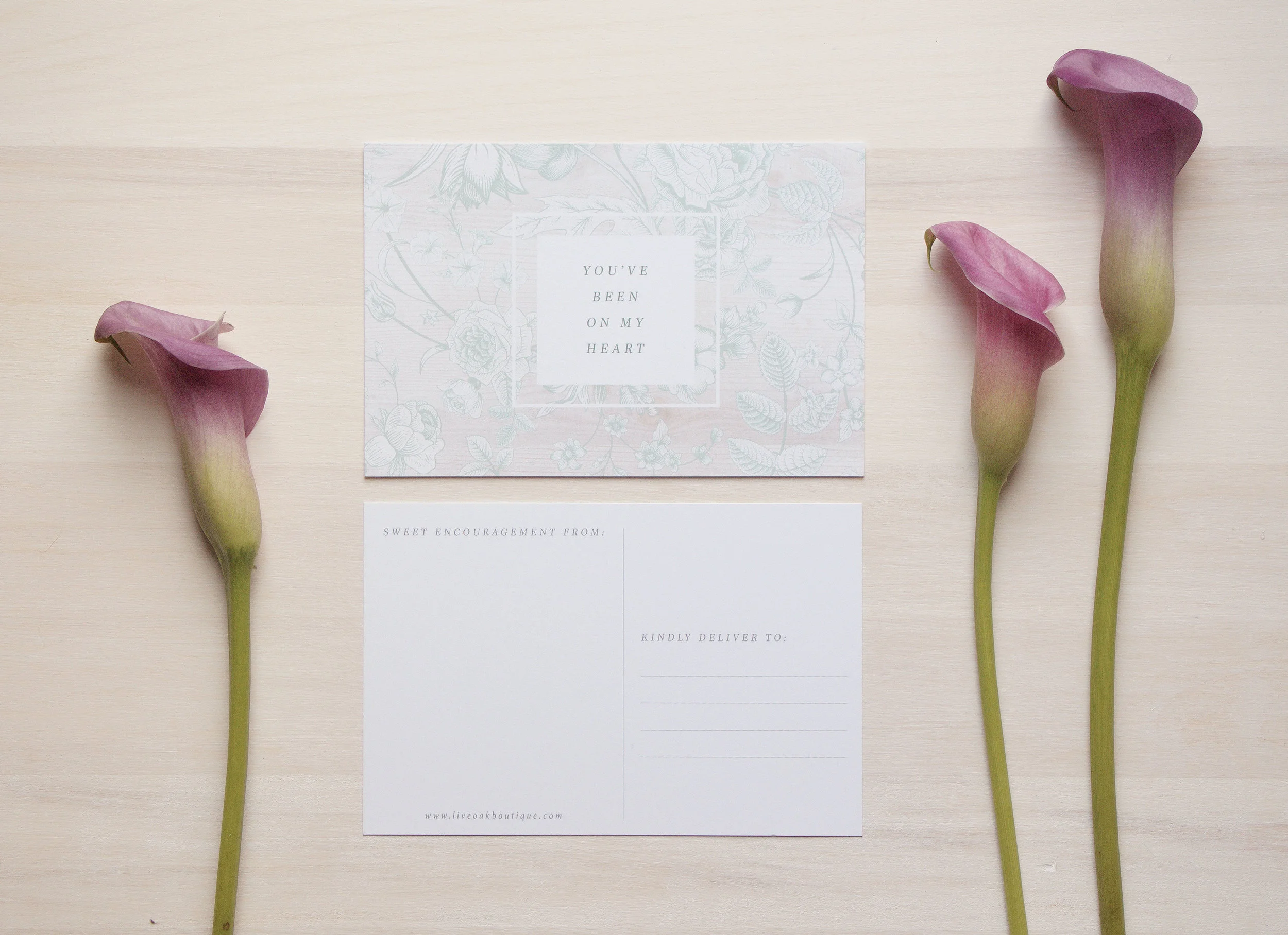 Encouragement Postcards: Live Oak Boutique