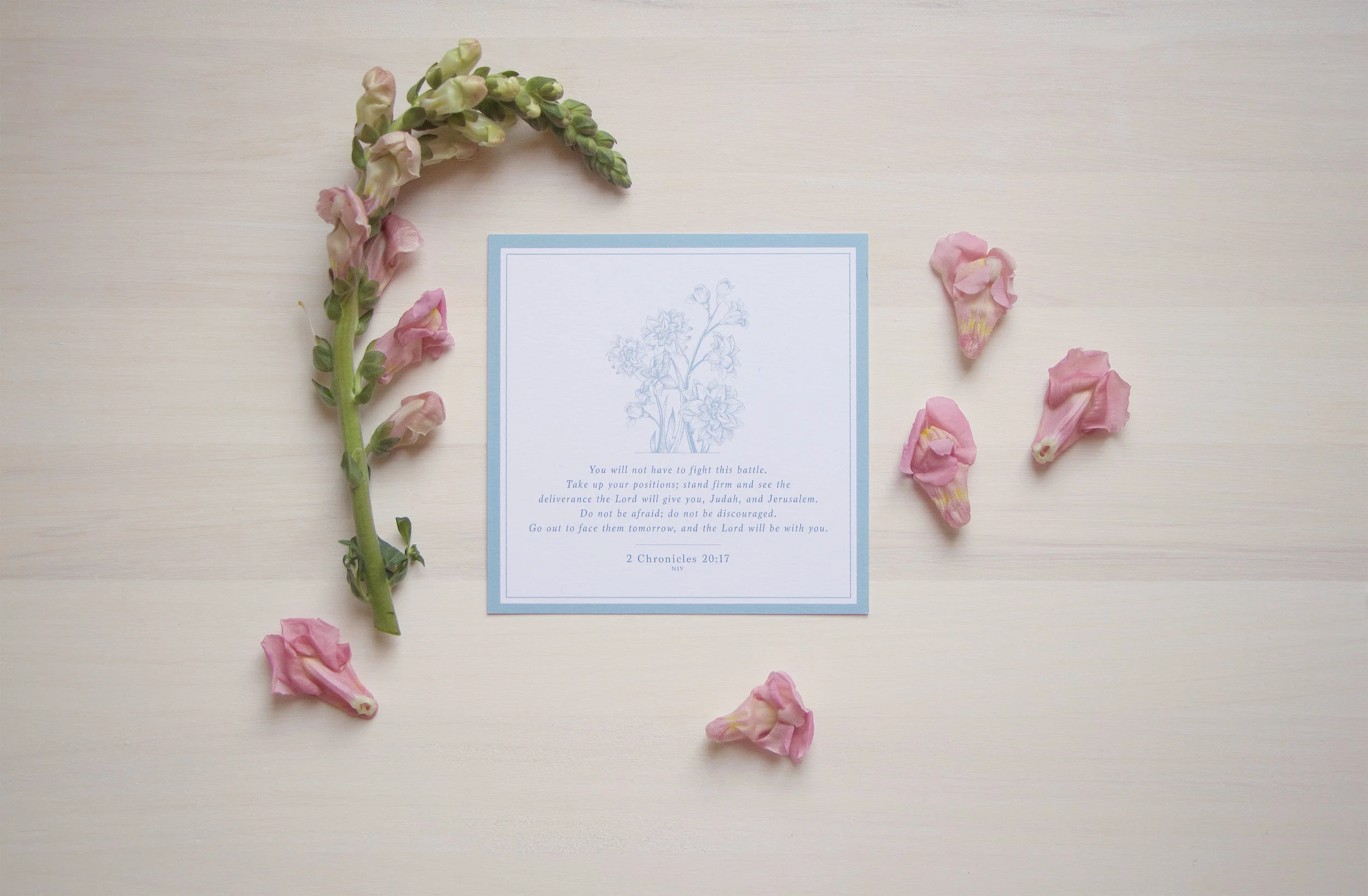 Petite Scripture Art: Live Oak Boutique