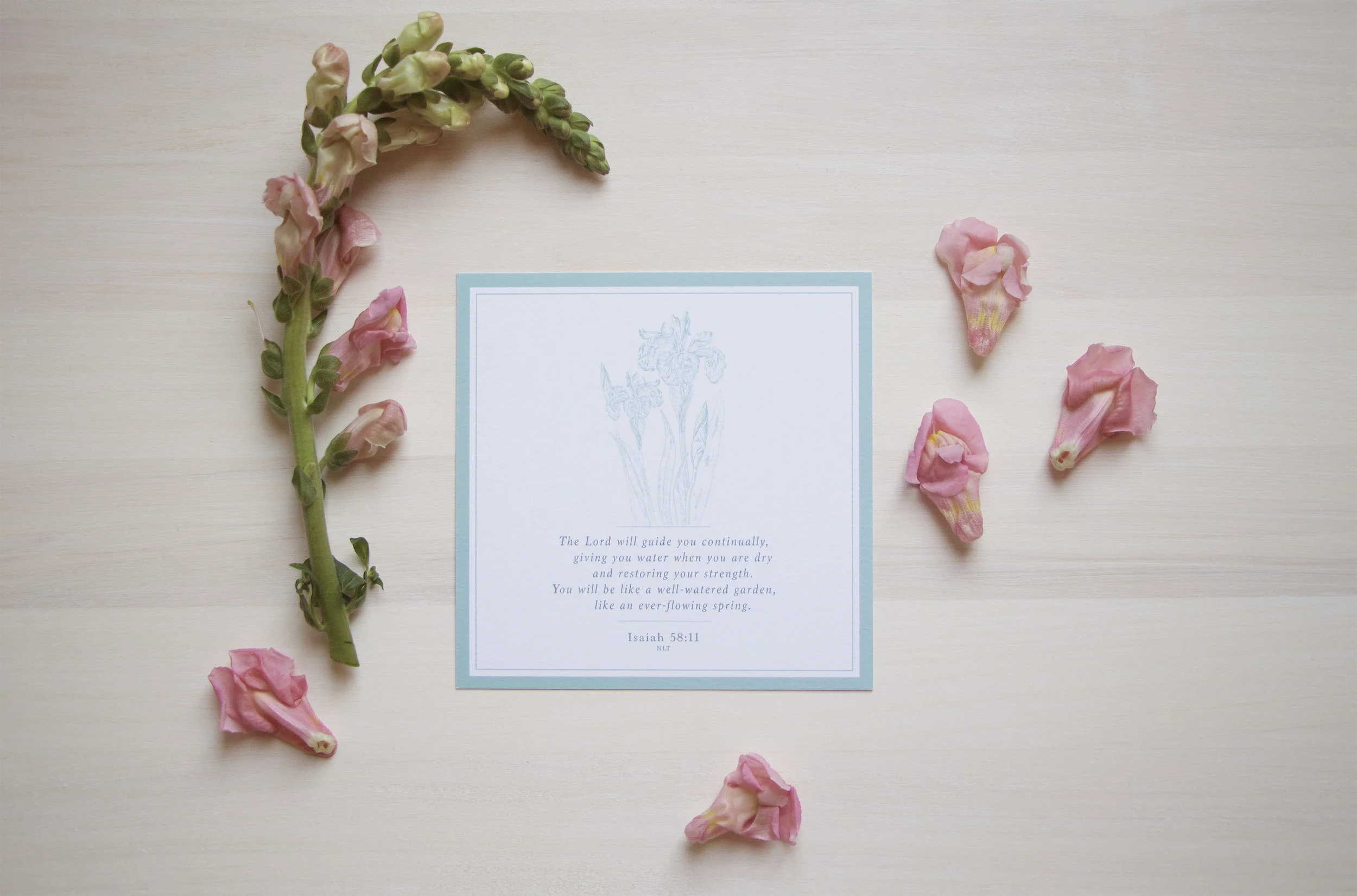 Petite Scripture Art: Live Oak Boutique